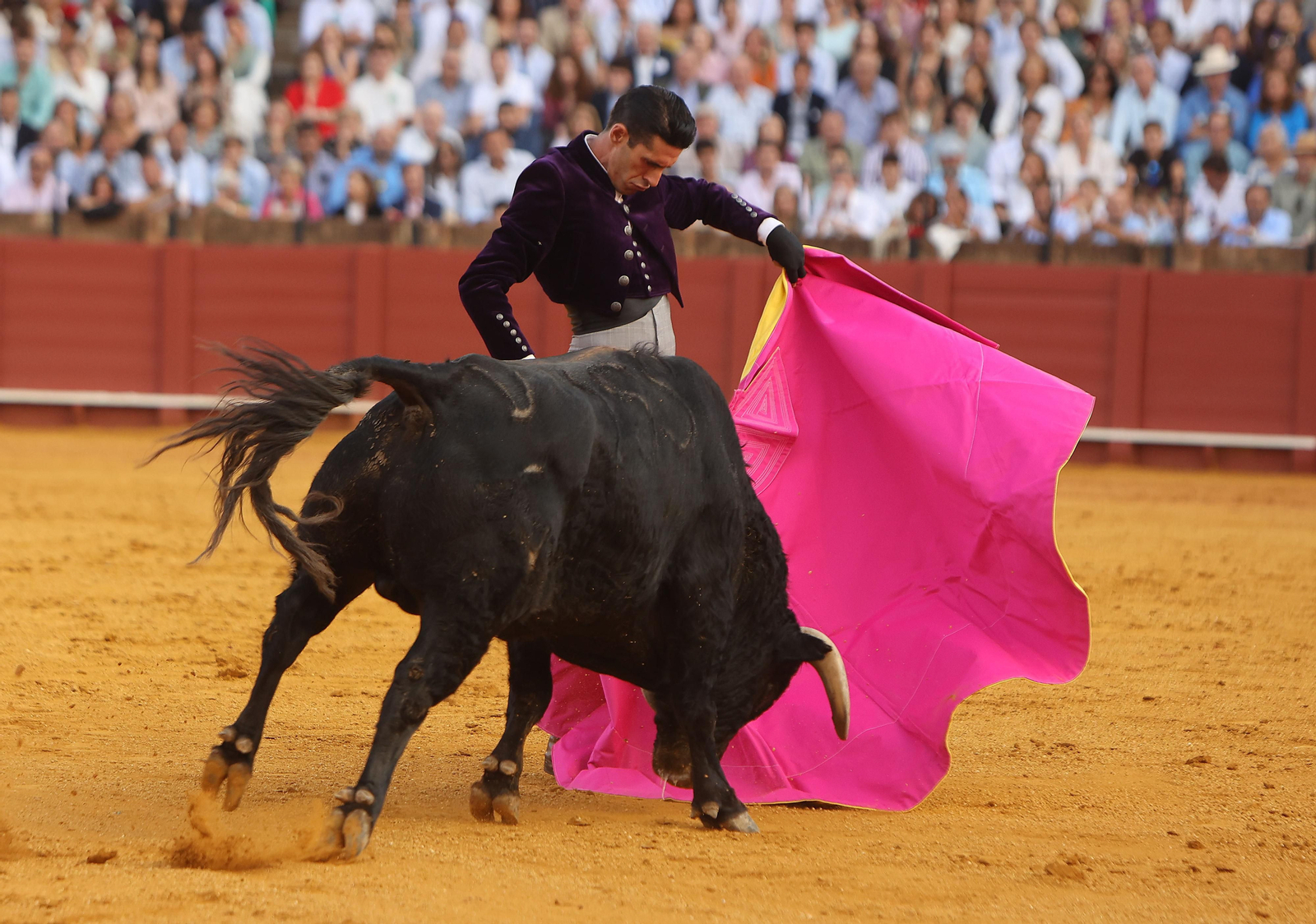 Fotos del Festival taurino a beneficio de l de la Hermandad del Rocío de Triana y de la Fundación Alalá