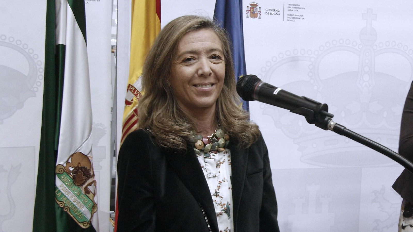 Felisa Panadero sonríe durante su toma de posesión como subdelegada del Gobierno en Sevilla, en 2012.