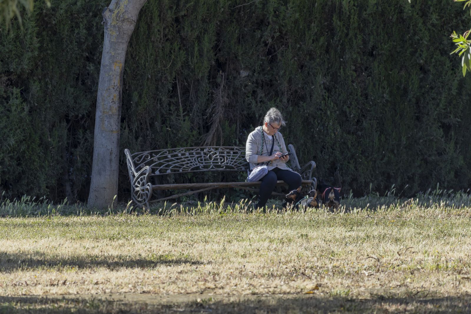 Imágenes del lunes 17 de abril en Huelva