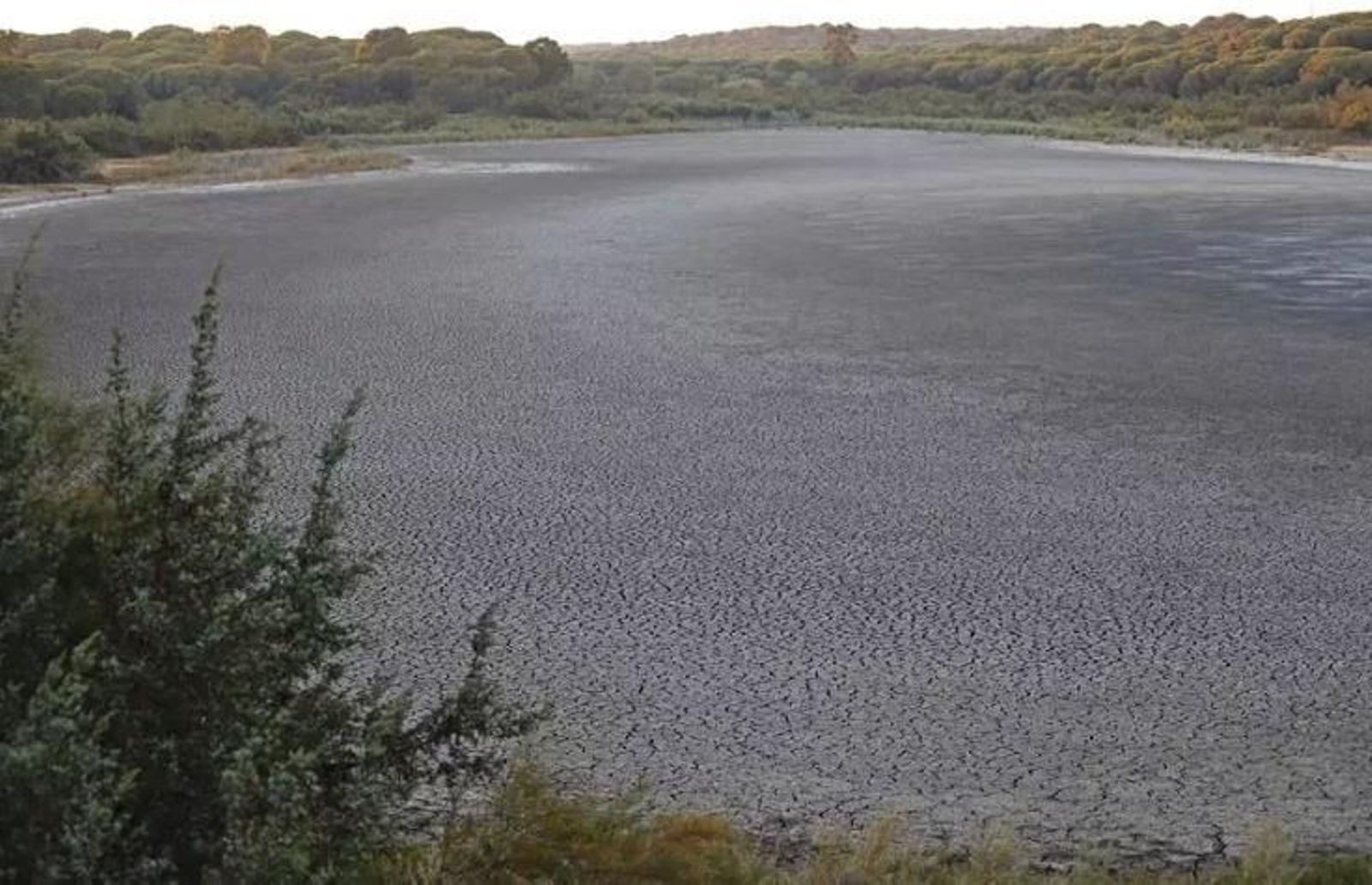 La laguna de El Portil, completamente seca en años anteriores. La laguna de El Portil, completamente seca en años anteriores.