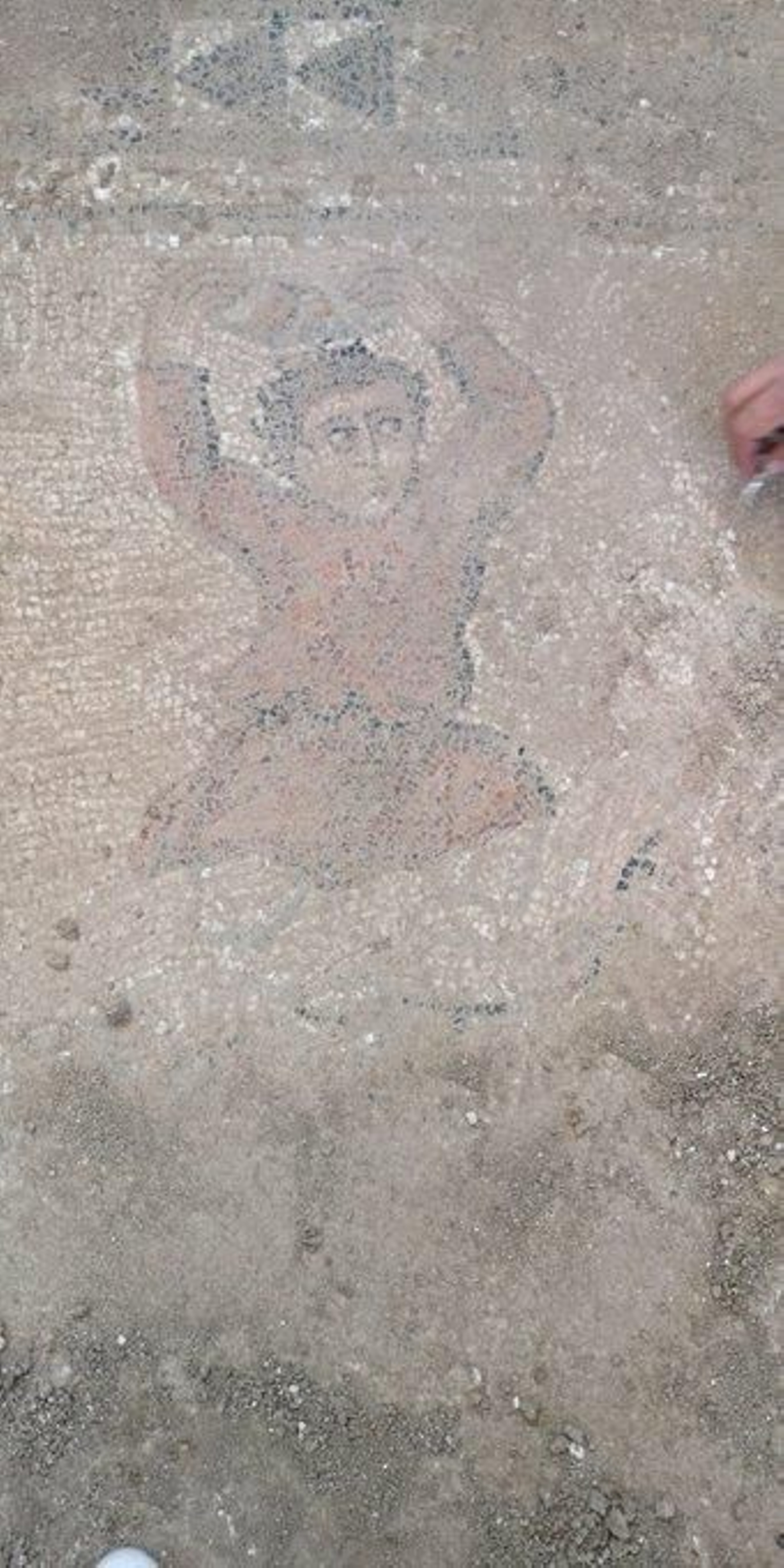 Sirviente lanzando una piedra en el mosaico.