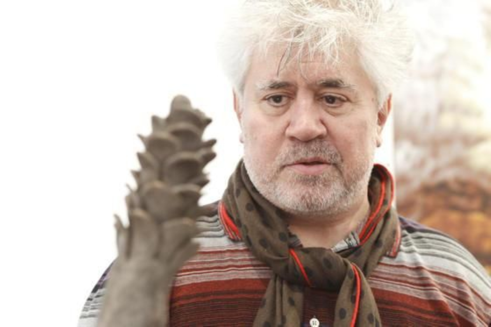 Reportaje gráfico: José Ramón Ladra.