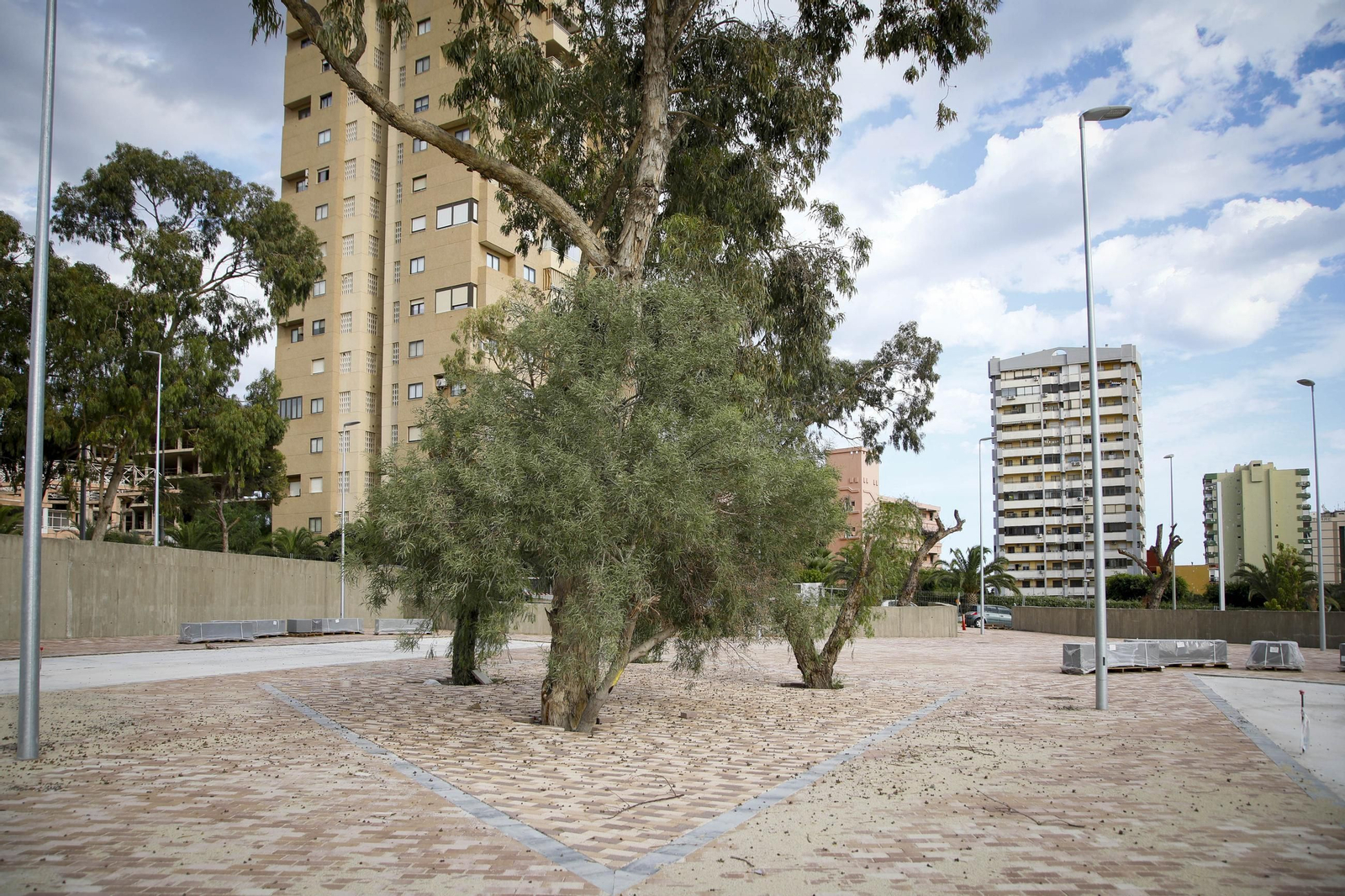 Te contamos en imágenes como avanzan las obras de la rambla de San Antonio en Aguadulce