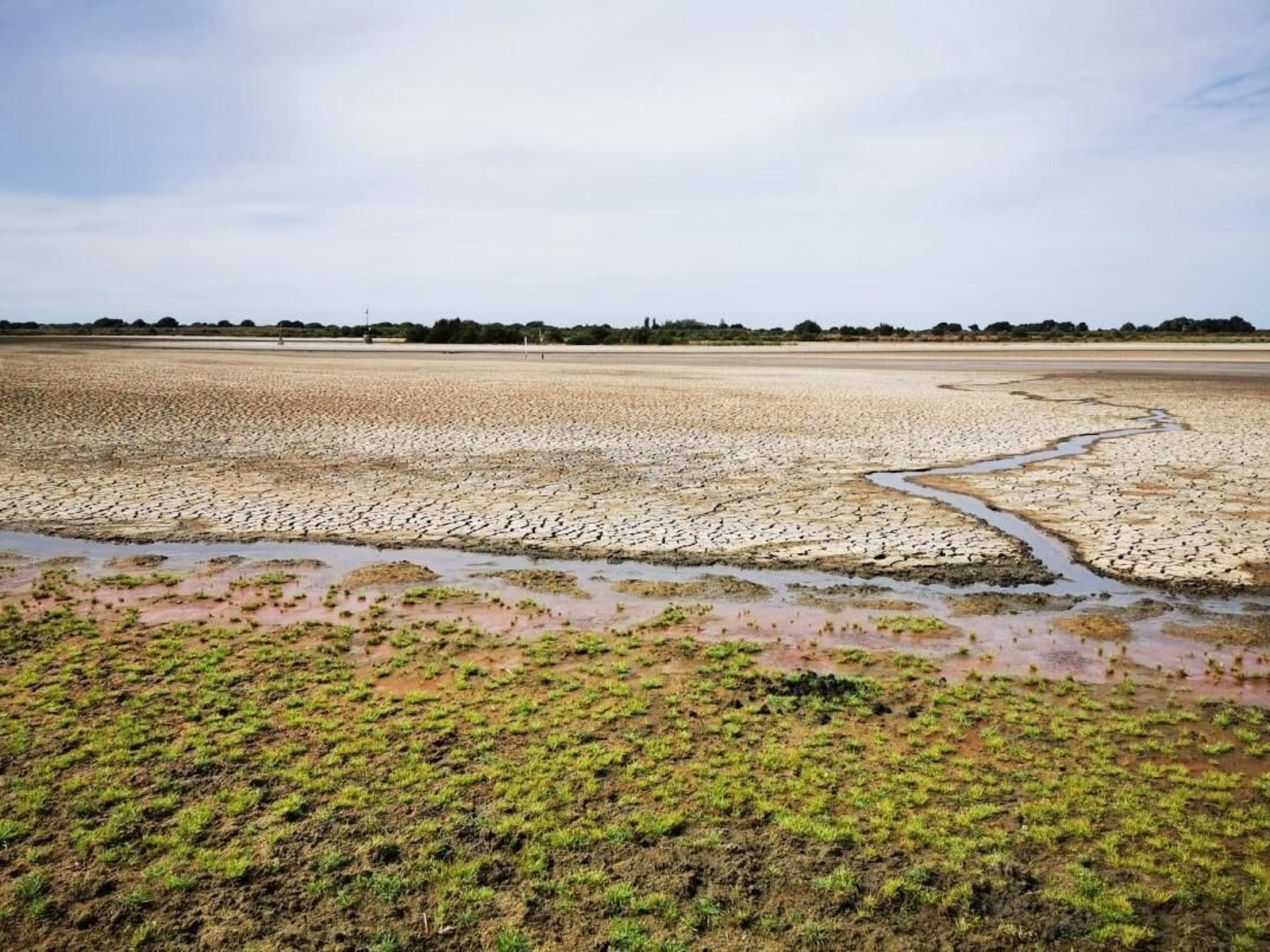 Imagen del estado de la laguna de Santa Olalla.