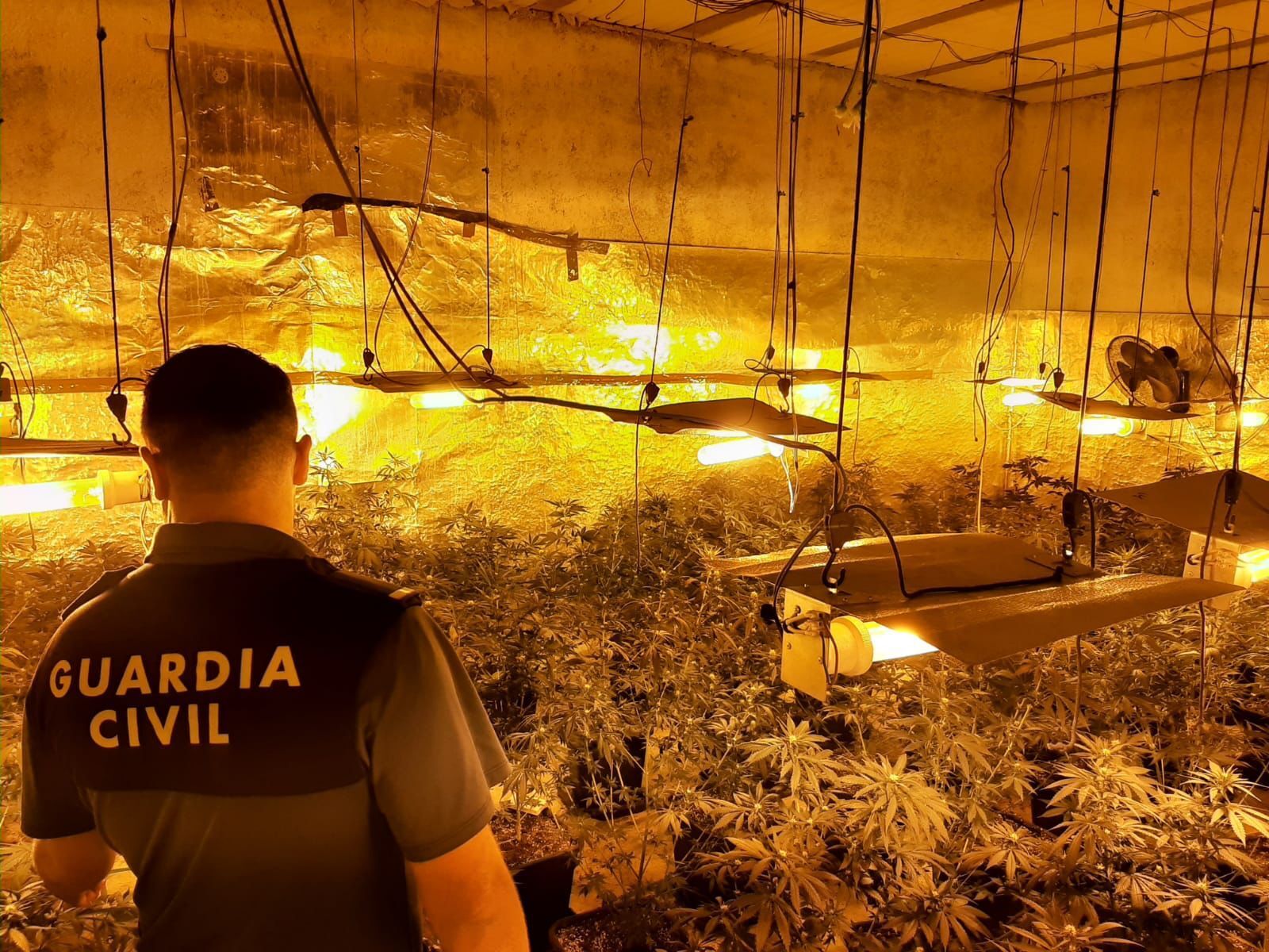 Imagen de archivo de una plantación de marihuana desmantelada por la Guardia Civil.