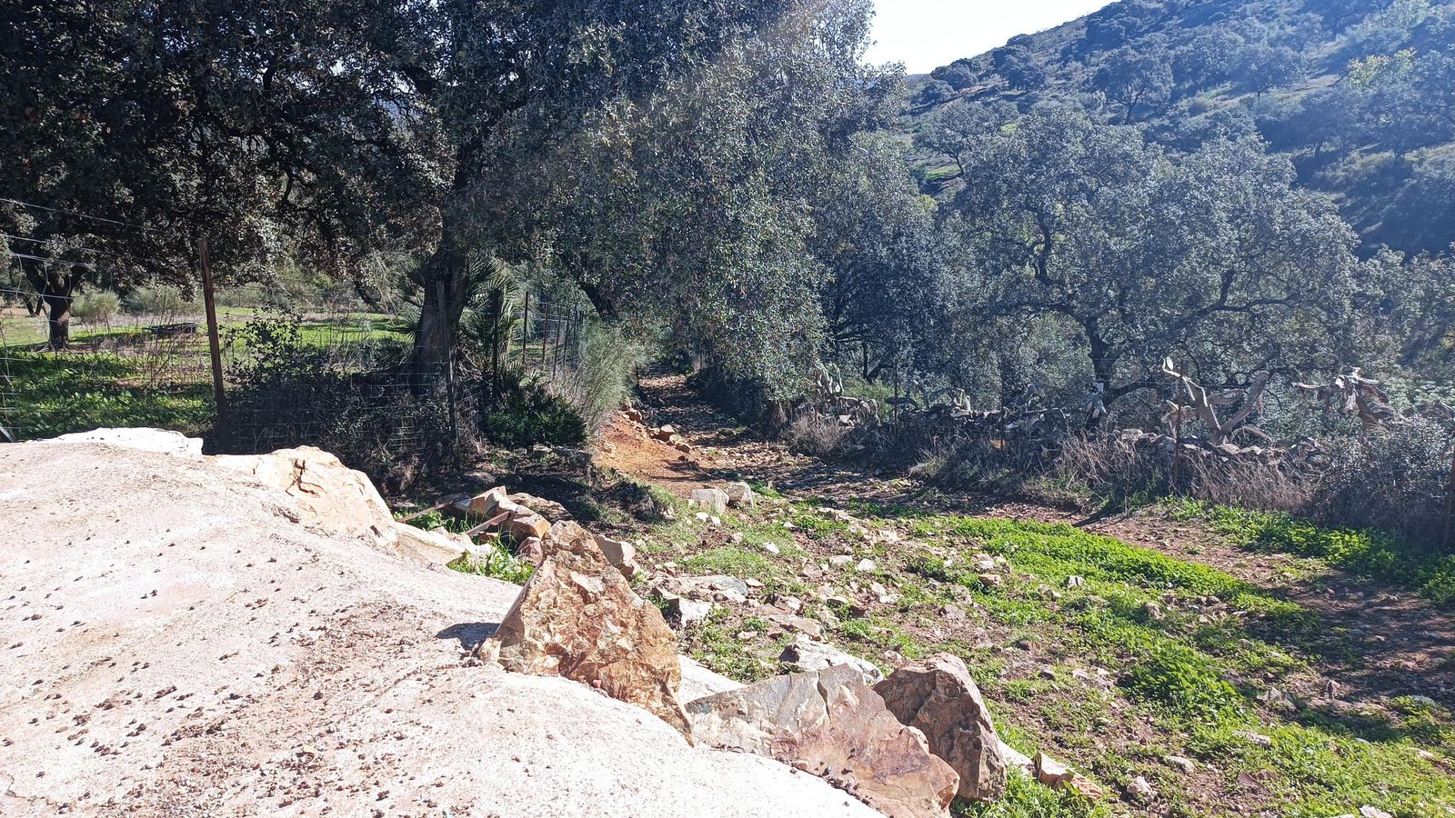 Al final de Las Cañadillas, tendremos que bajar por una pendiente con piedras sueltas.