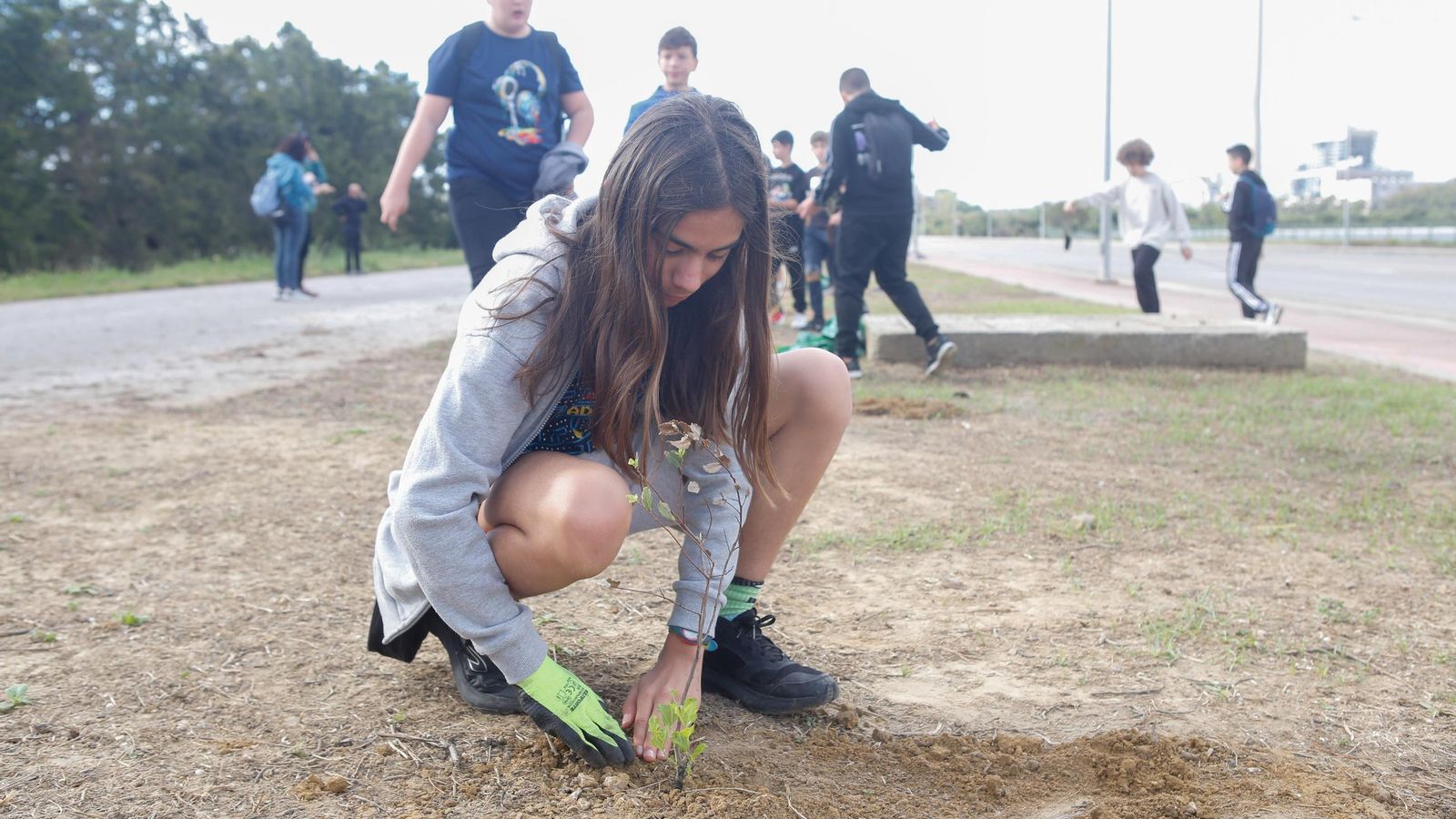 Fotografías de la plantación del programa 'Reverdece' de Acerinox Fotografías de la plantación del programa 'Reverdece' de Acerinox