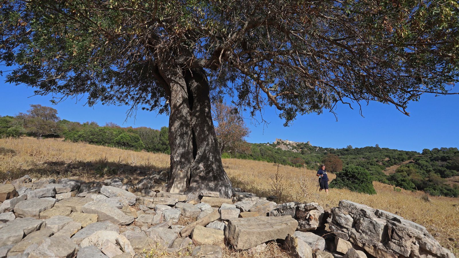 Embalse de Guadarranque en Castellar