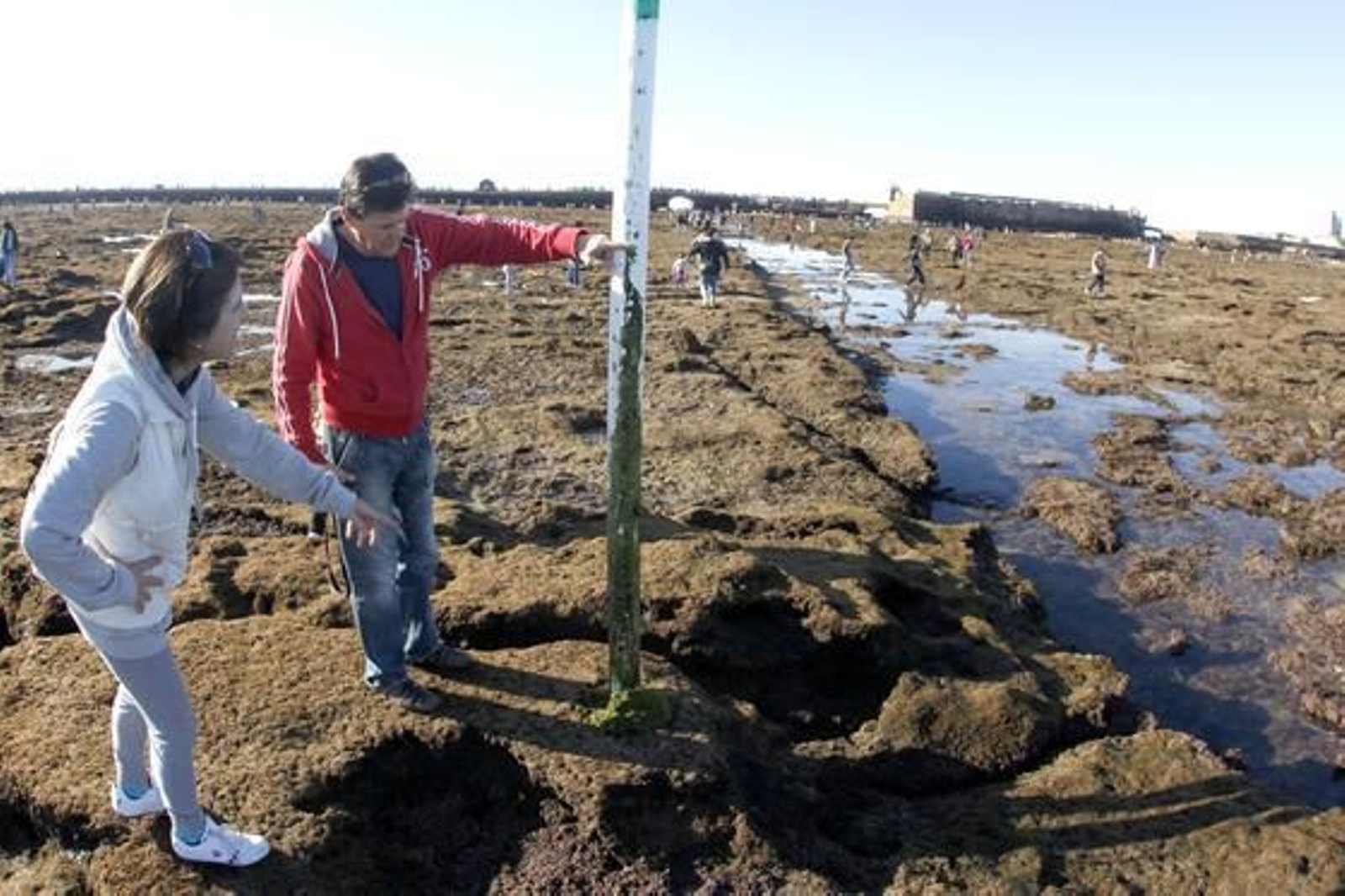 Desde primeras horas de la mañana, en la playa de la Caleta se han reunido miles de ciudadanos, dispuestos a disfrutar y fotografiar la marea del año./Jesús Marín

Foto: Julio Gonz?z/Jes?ar?