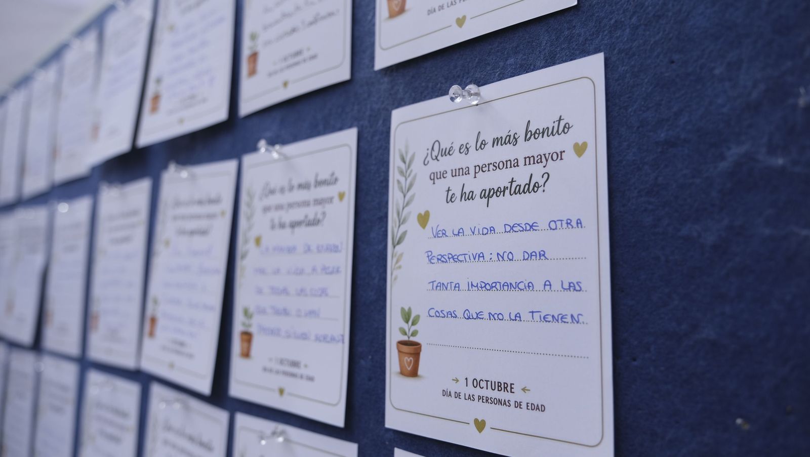 El Día de las Personas de Edad en Adra, organizado por el Ayuntamiento y Clece, en imágenes