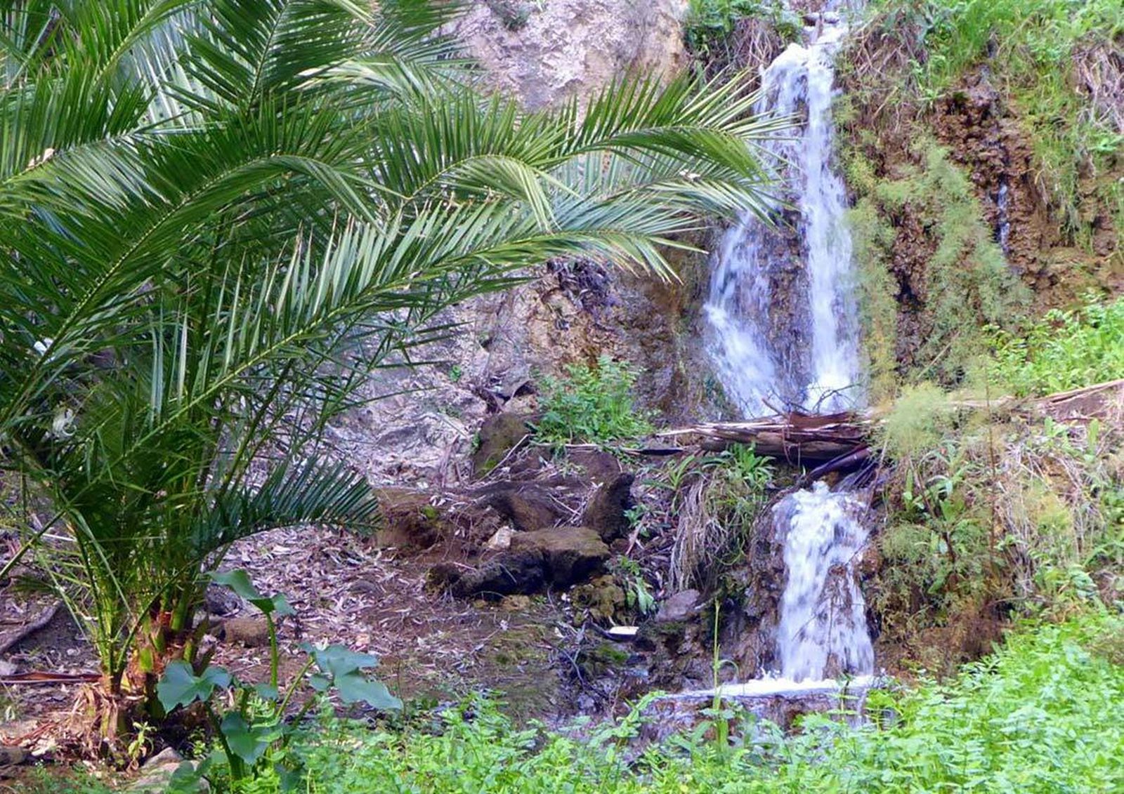 Las jornadas contemplan visitas a varias zonas naturales de Lanjarón