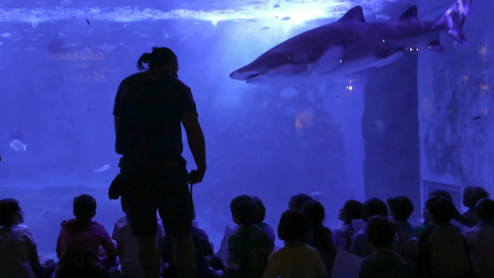 Talleres en el Acuario de Sevilla