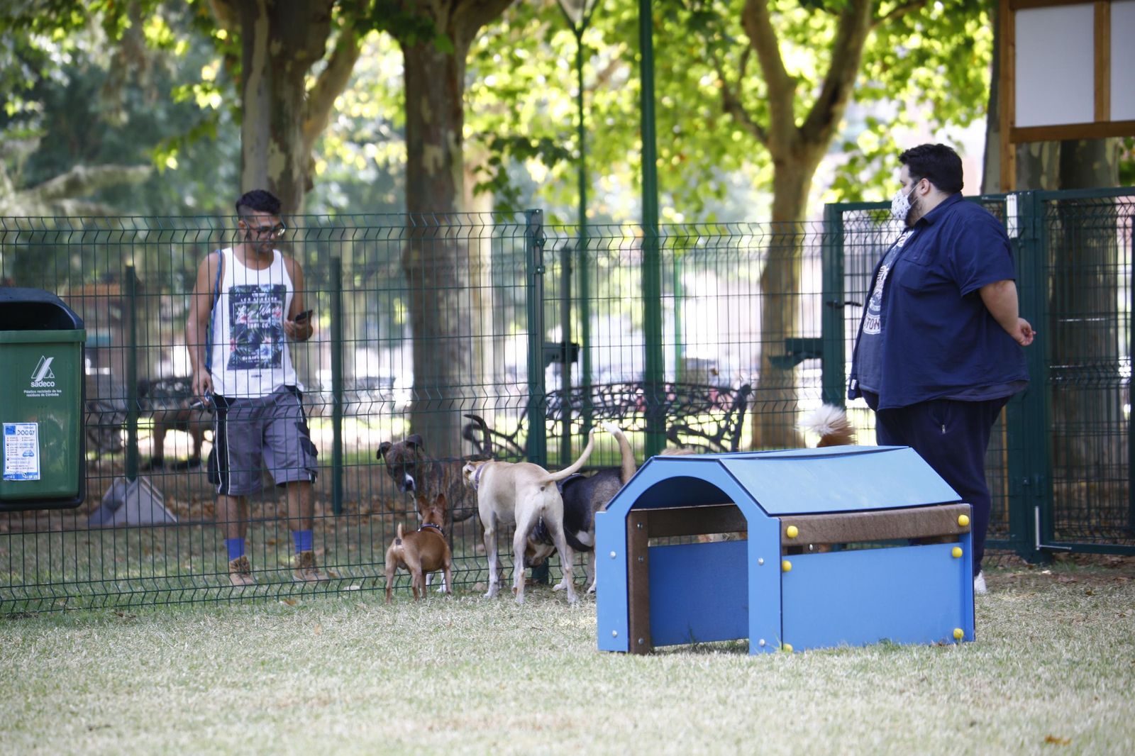 Perros en una zona de esparcimiento canino de Fray Albino