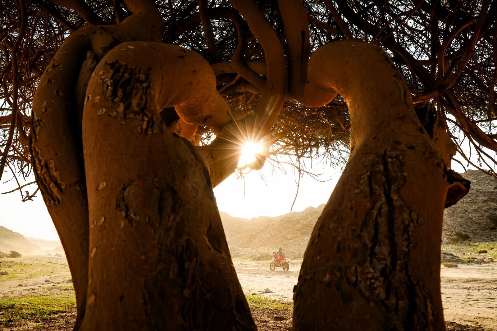 Las mejores fotos del Rally Dakar | Primera etapa