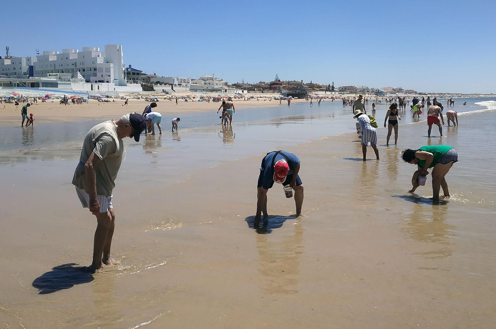 Bañistas tratan de coger coquinas en la playa de Matalascañas.