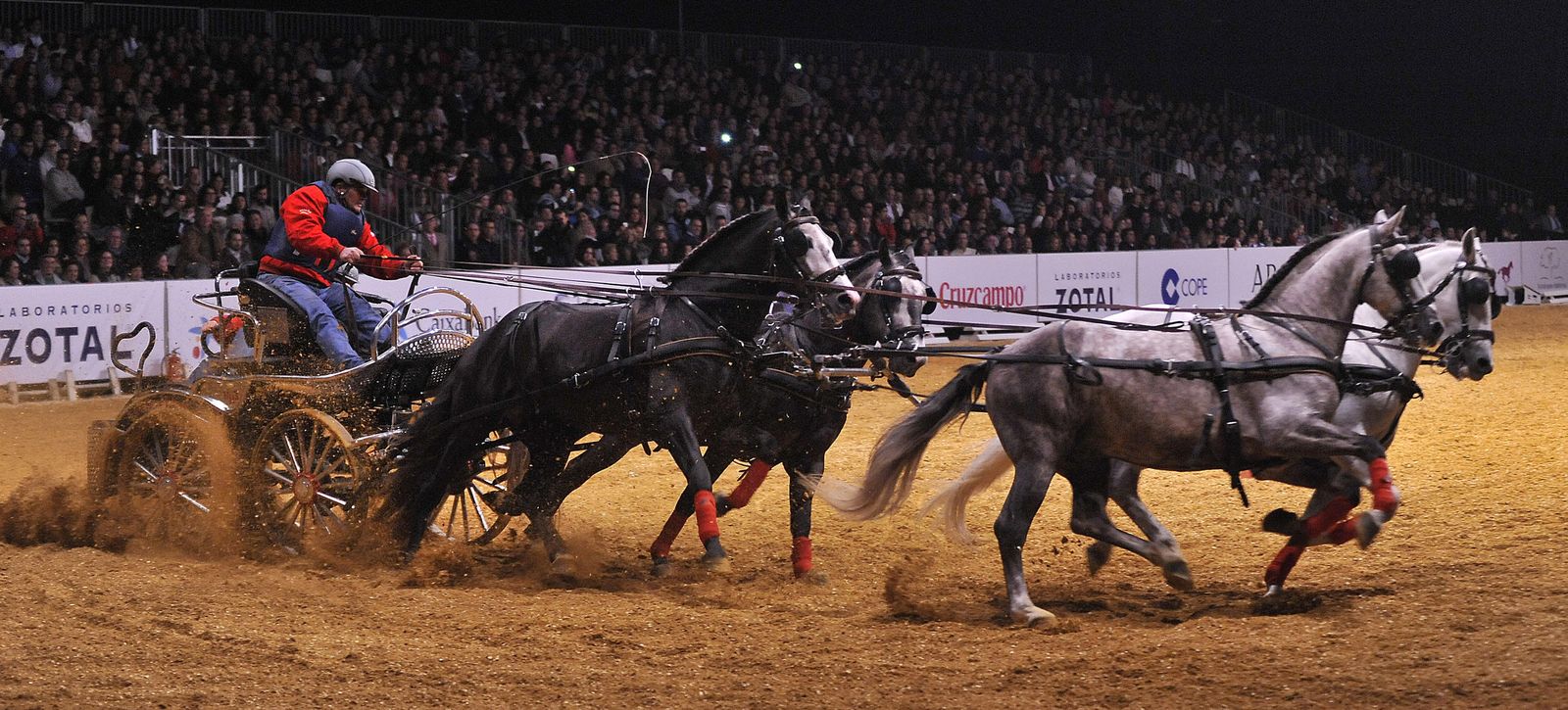El Salón internacional del Caballo que se celebra en Sevilla acoge la celebración de numerosas pruebas deportivas de carácter nacional e internacional.