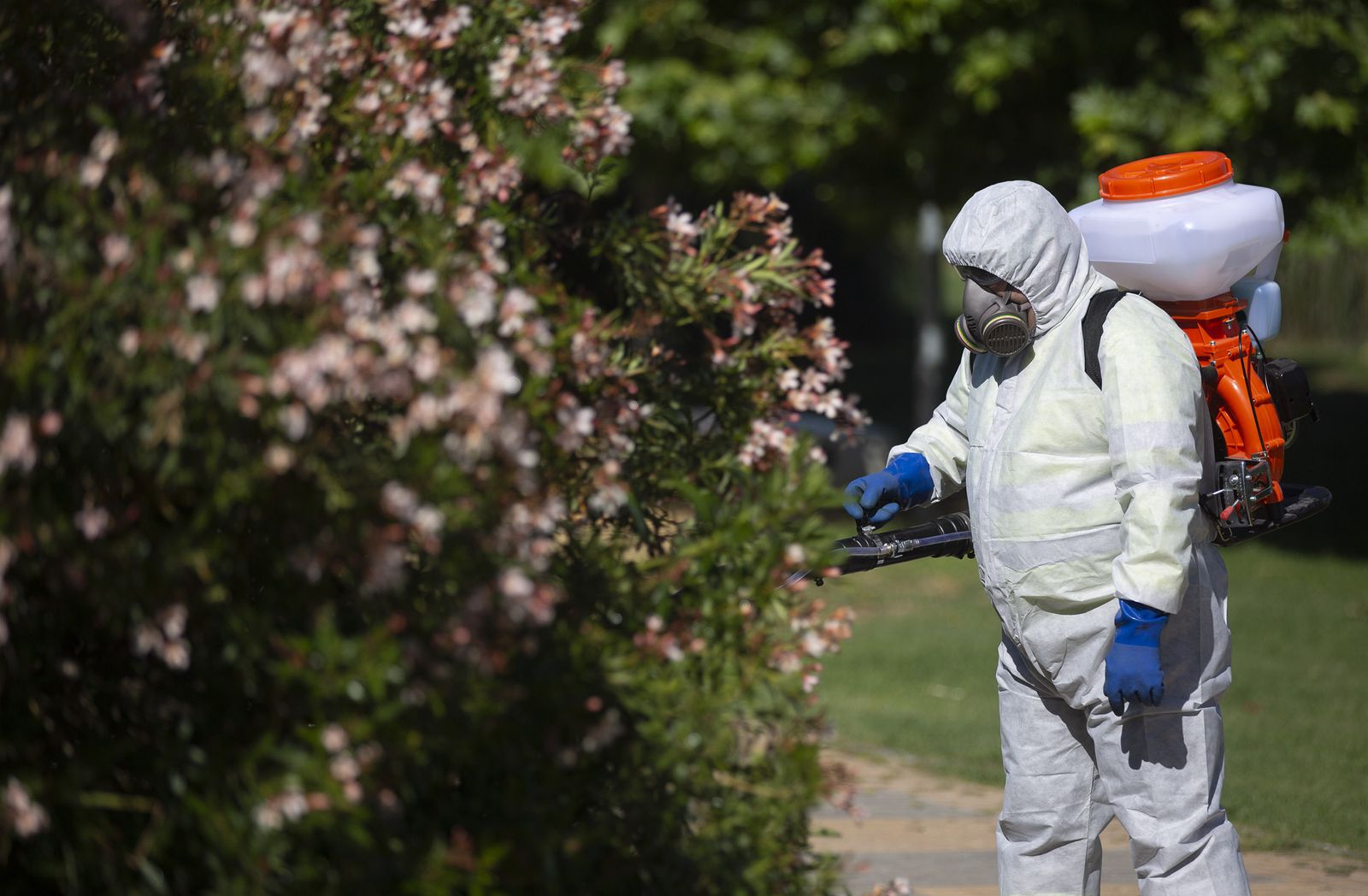 Trabajos de fumigación contra la fiebre del Nilo.
