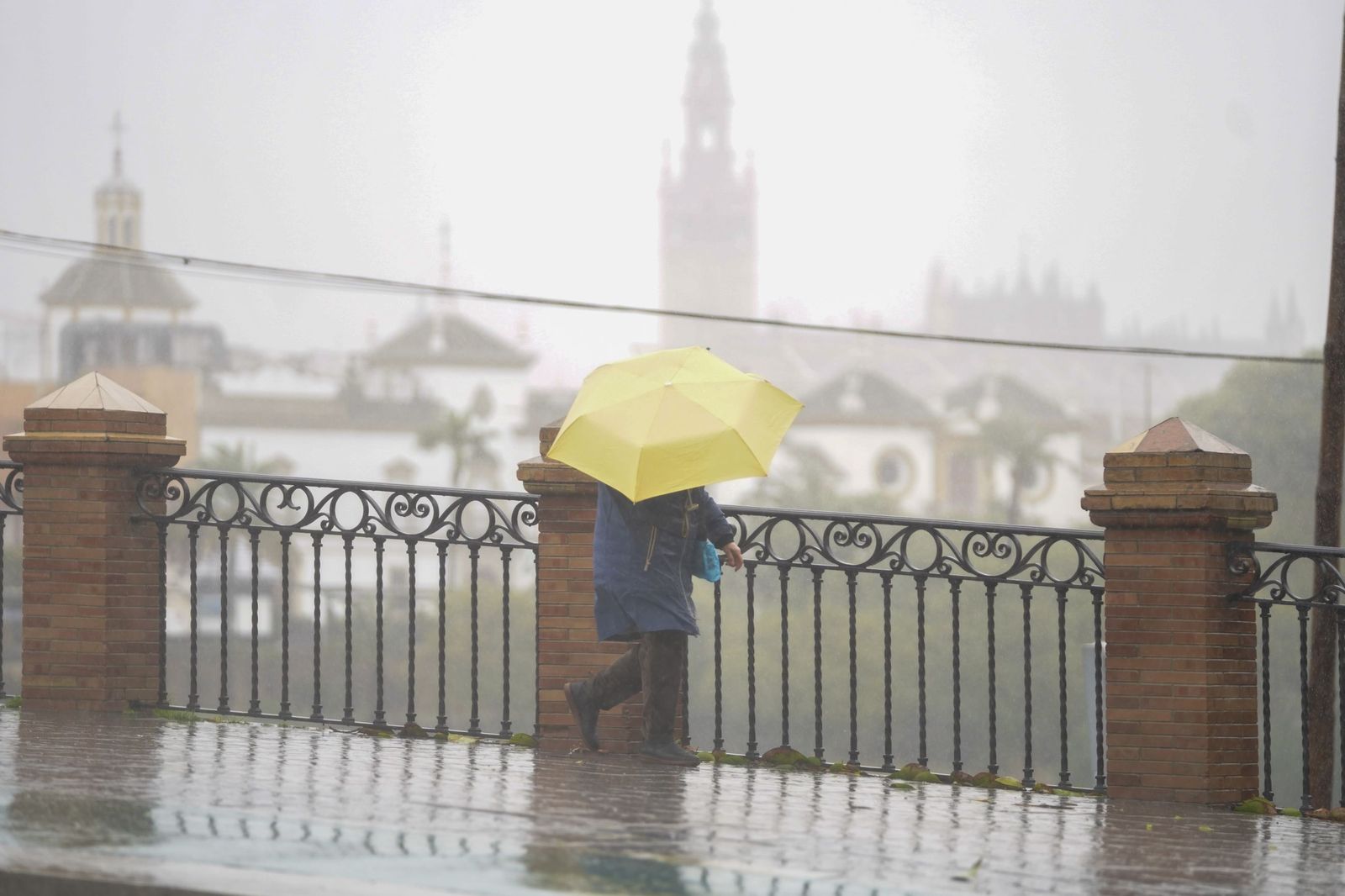 La intensa lluvia en Sevilla al paso de la Borrasca Leonardo en fotos