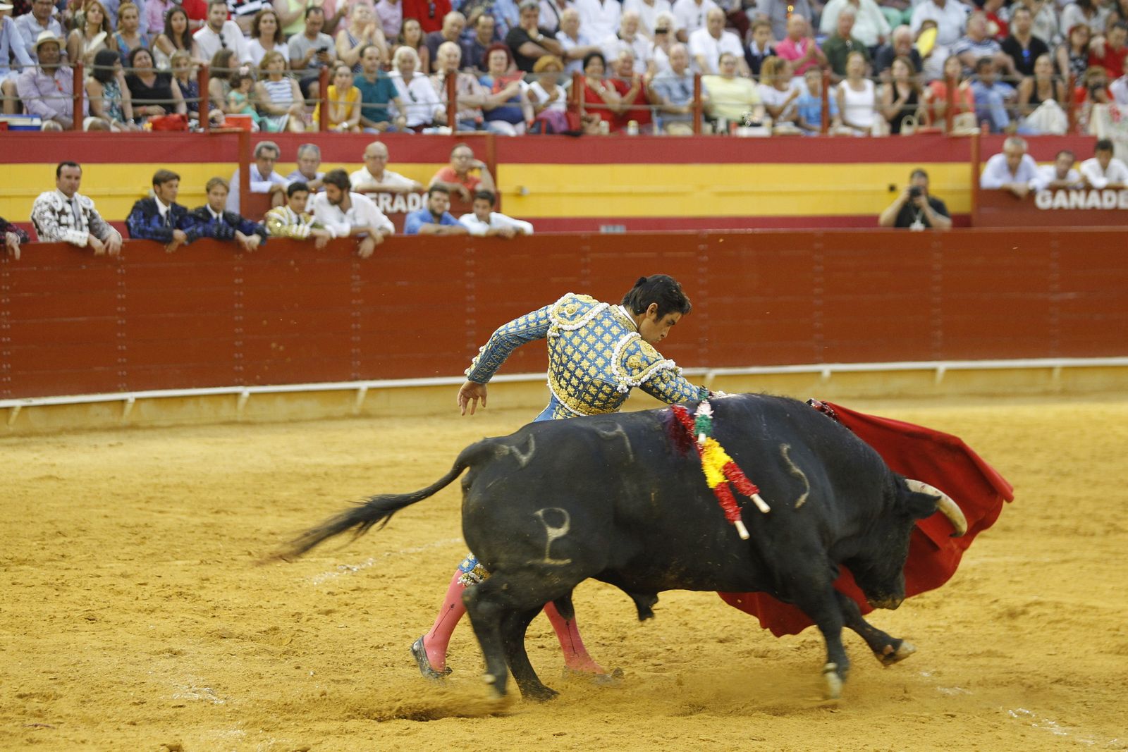Fotogalería corrida toros Feria Santa Ana-Roquetas de Mar-El Juli-Perera-Aguado