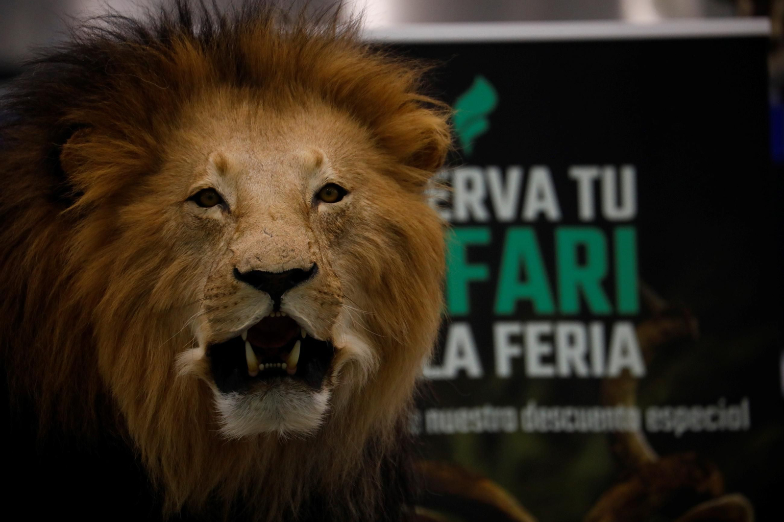 Arranca Intercaza con 62 expositores en el Centro de Exposiciones, Ferias y Convenciones de Córdoba