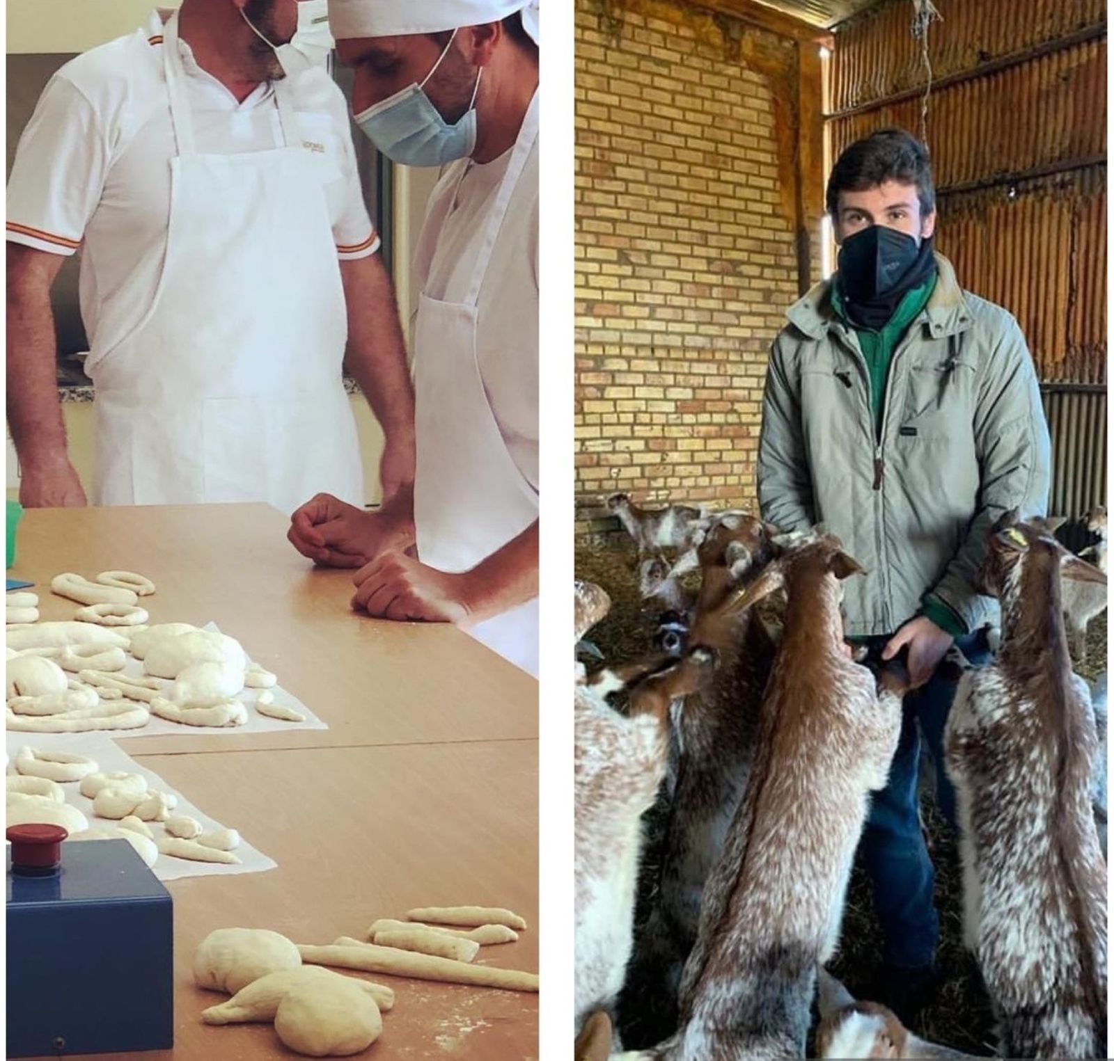 El reto de la Formación Profesional Dual