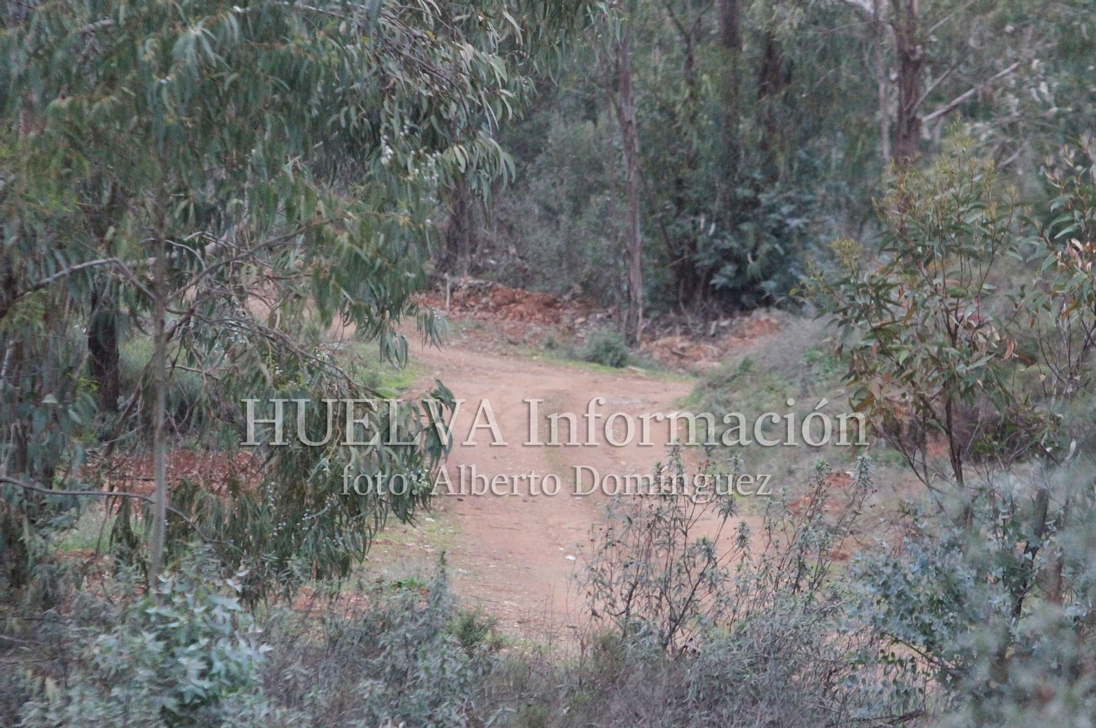 Registro de la casa de Bernardo Montoya, en imágenes