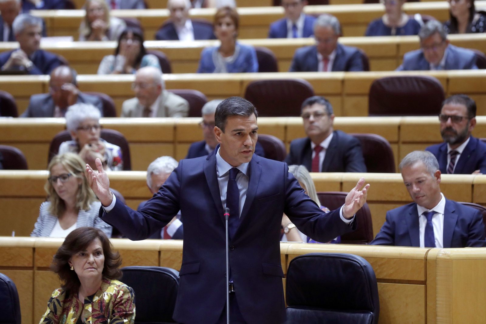 Pedro Sánchez , durante un intervención en el Senado.