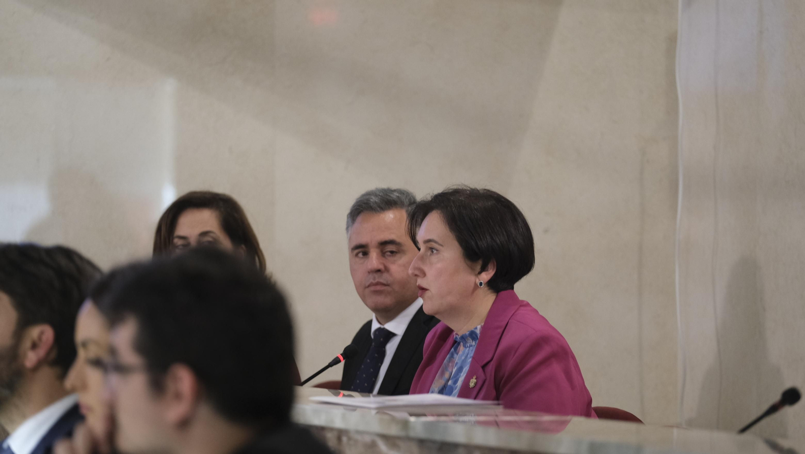 Imágenes del pleno ordinario del Ayuntamiento de Almería