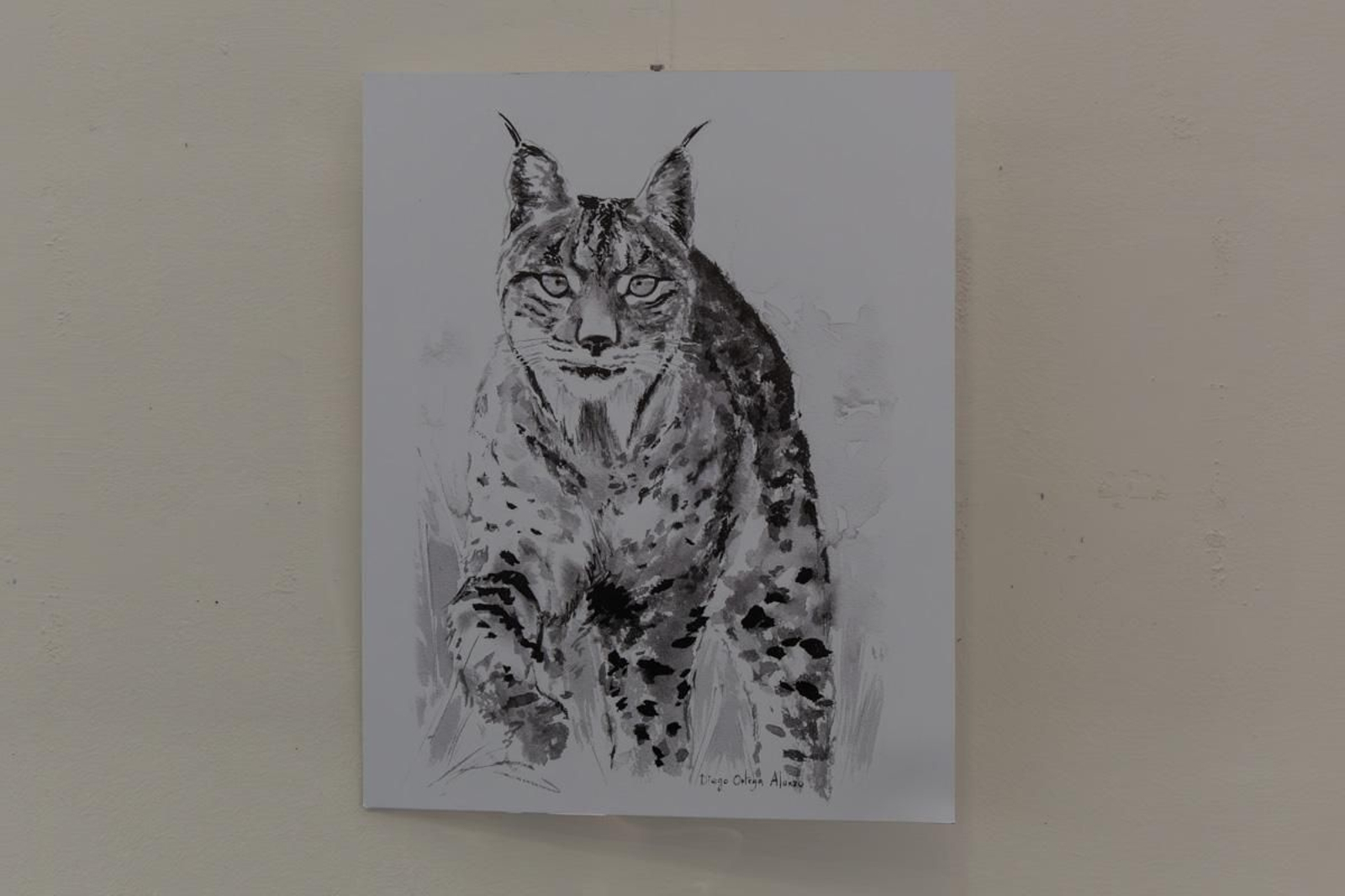 Exposición Los pinceles del lince ibérico, en imágenes