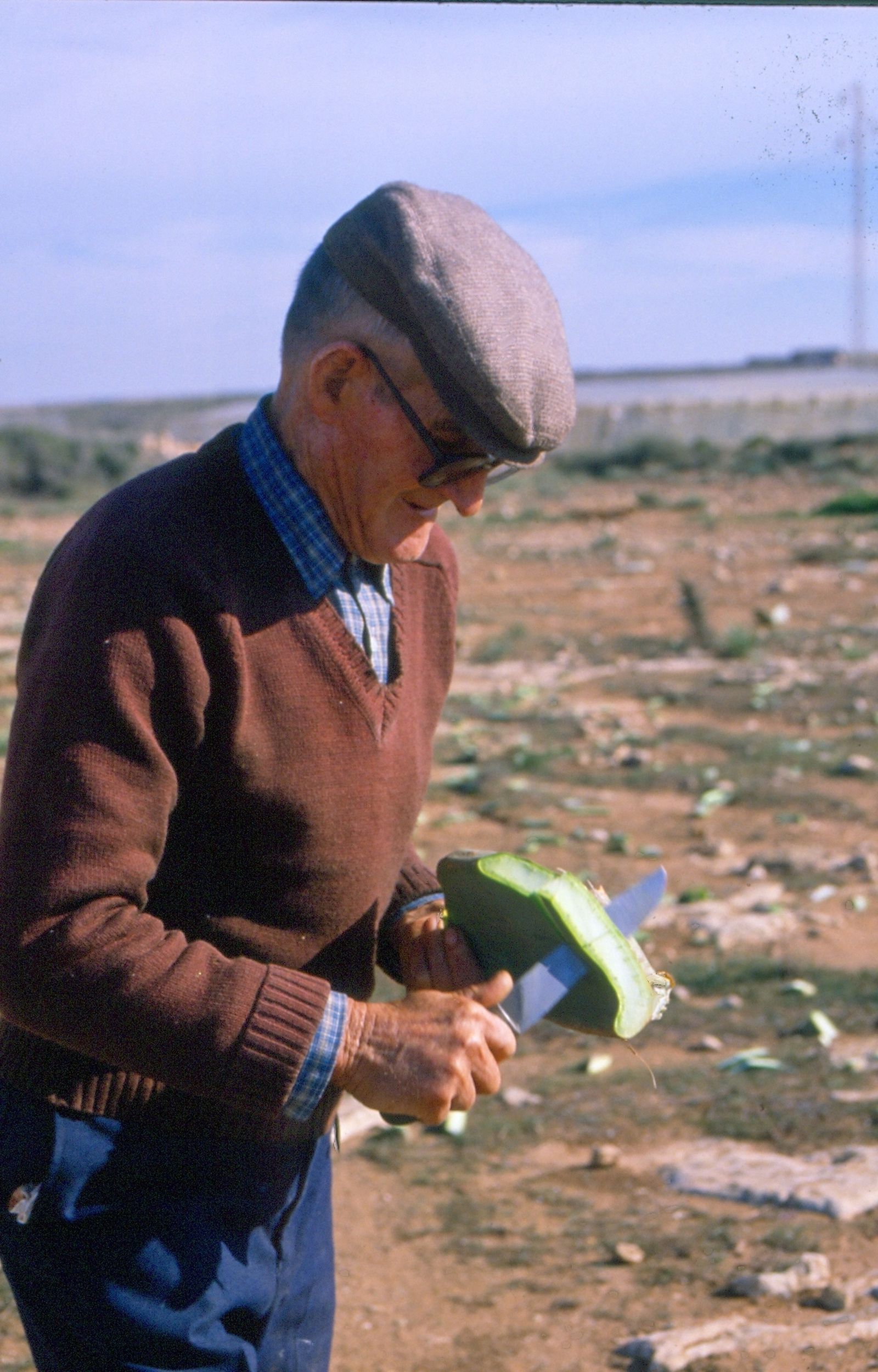 El duro trabajo del campo.