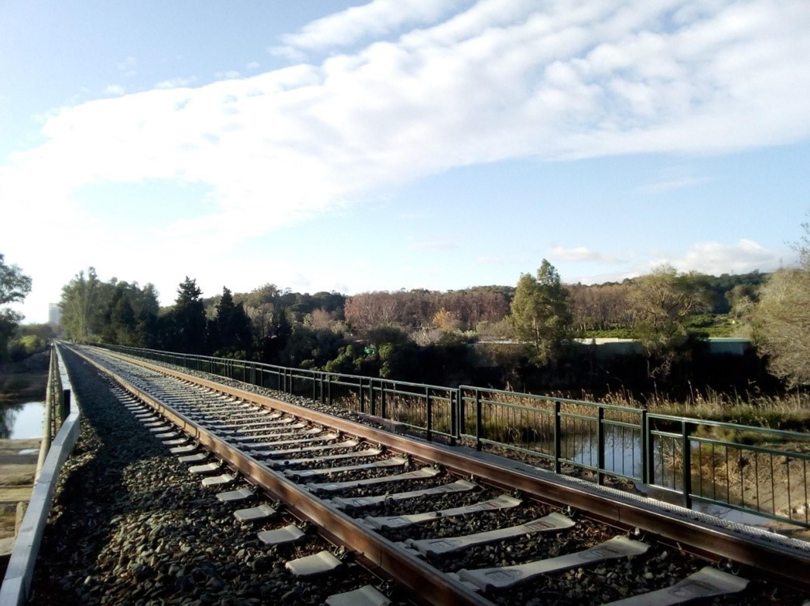 La vía en uno de los tramos de la Algeciras-Bobadilla.