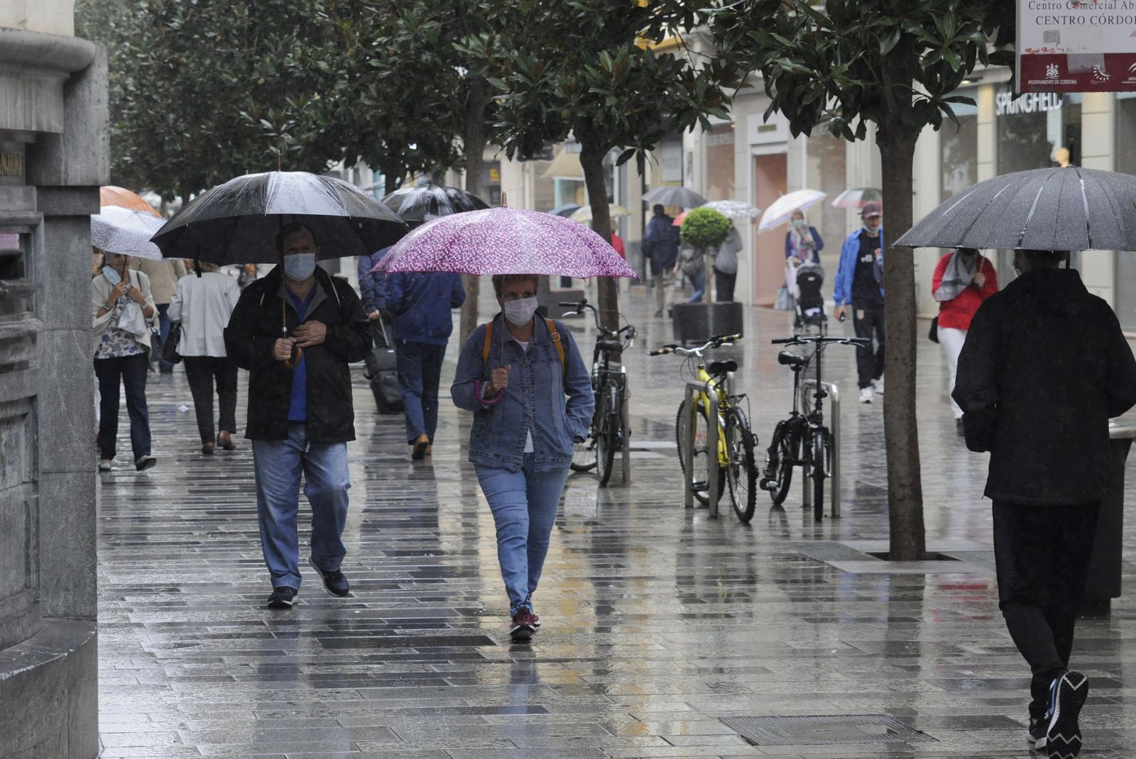 Gente con paraguas pasea por Córdoba durante un día lluvioso.
