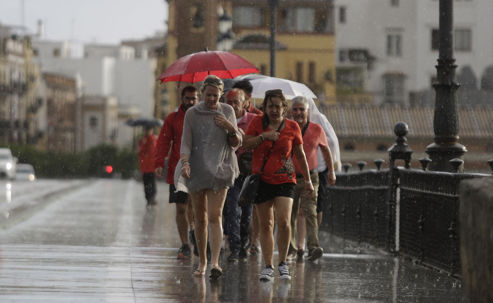 Las imágenes de la lluvia en Sevilla