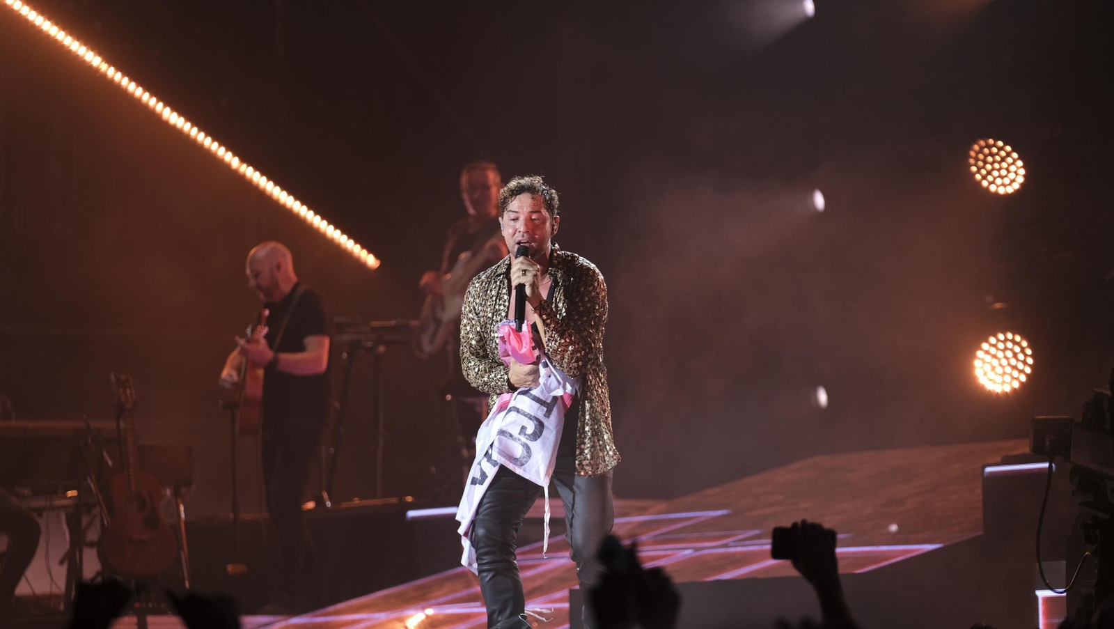 David Bisbal arrasa en su concierto de Roquetas de Mar