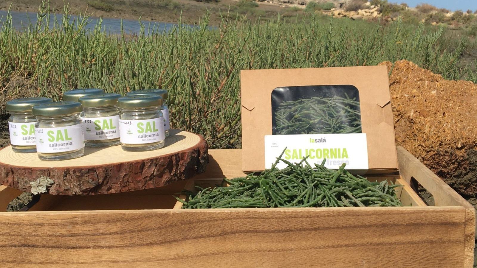 En primer plano, productos de La Salá. Detrás, un cultivo de salicornia.