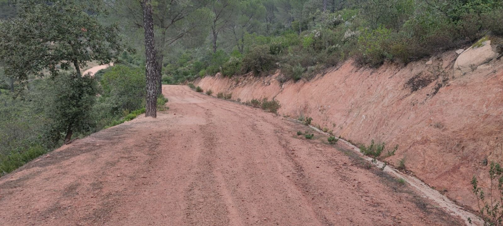 Camino del monte Guadiatillo, en Villaviciosa de Córdoba.
