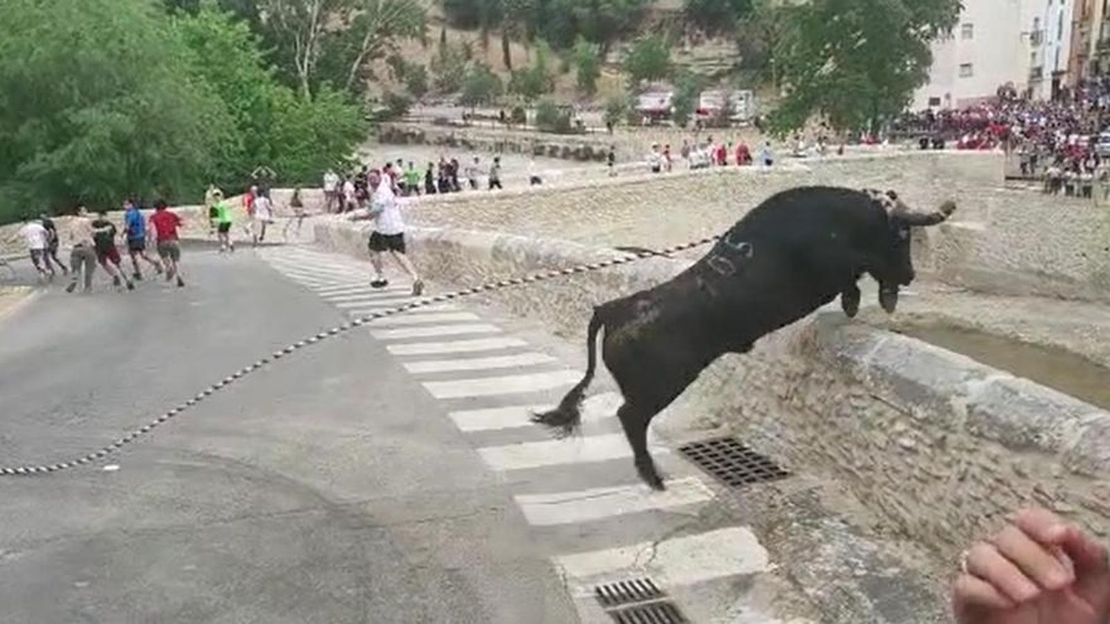 Un toro cae por un barranco durante un festejo taurino y tienen que sacrificarlo