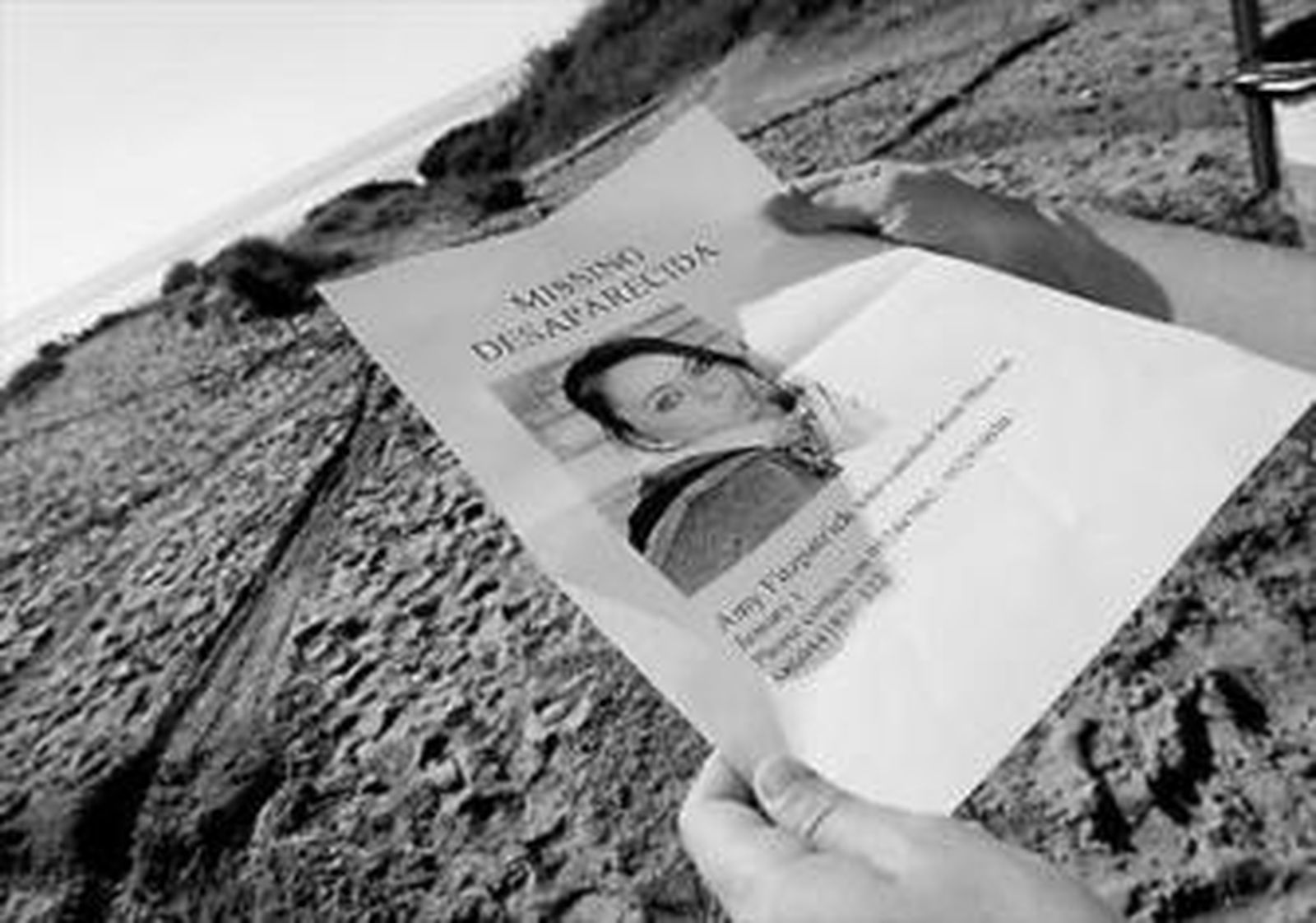 Uno de los carteles de búsqueda de Amy Fitzpatrick.