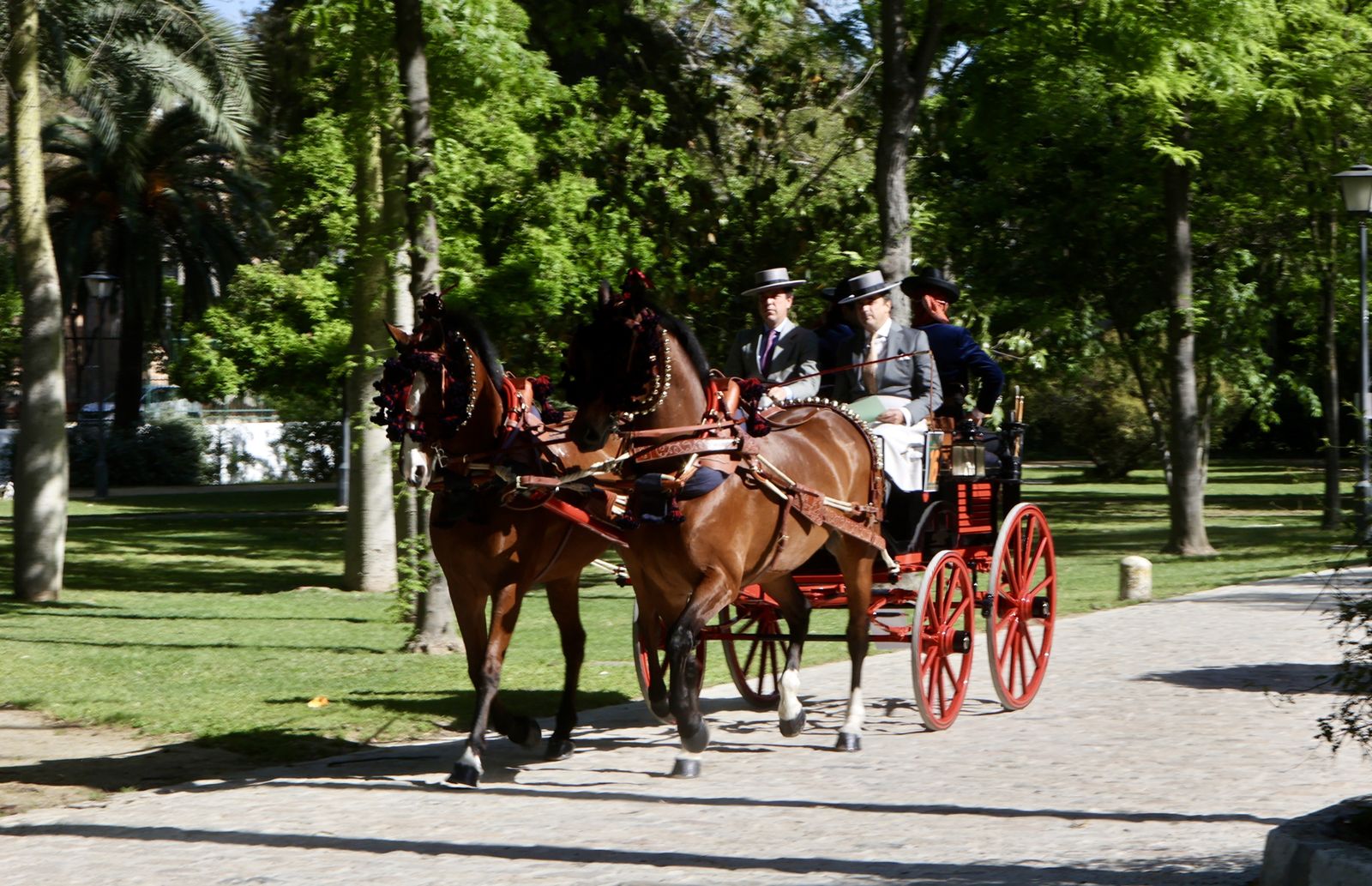 X copa CIAT   Concurso de Enganches
