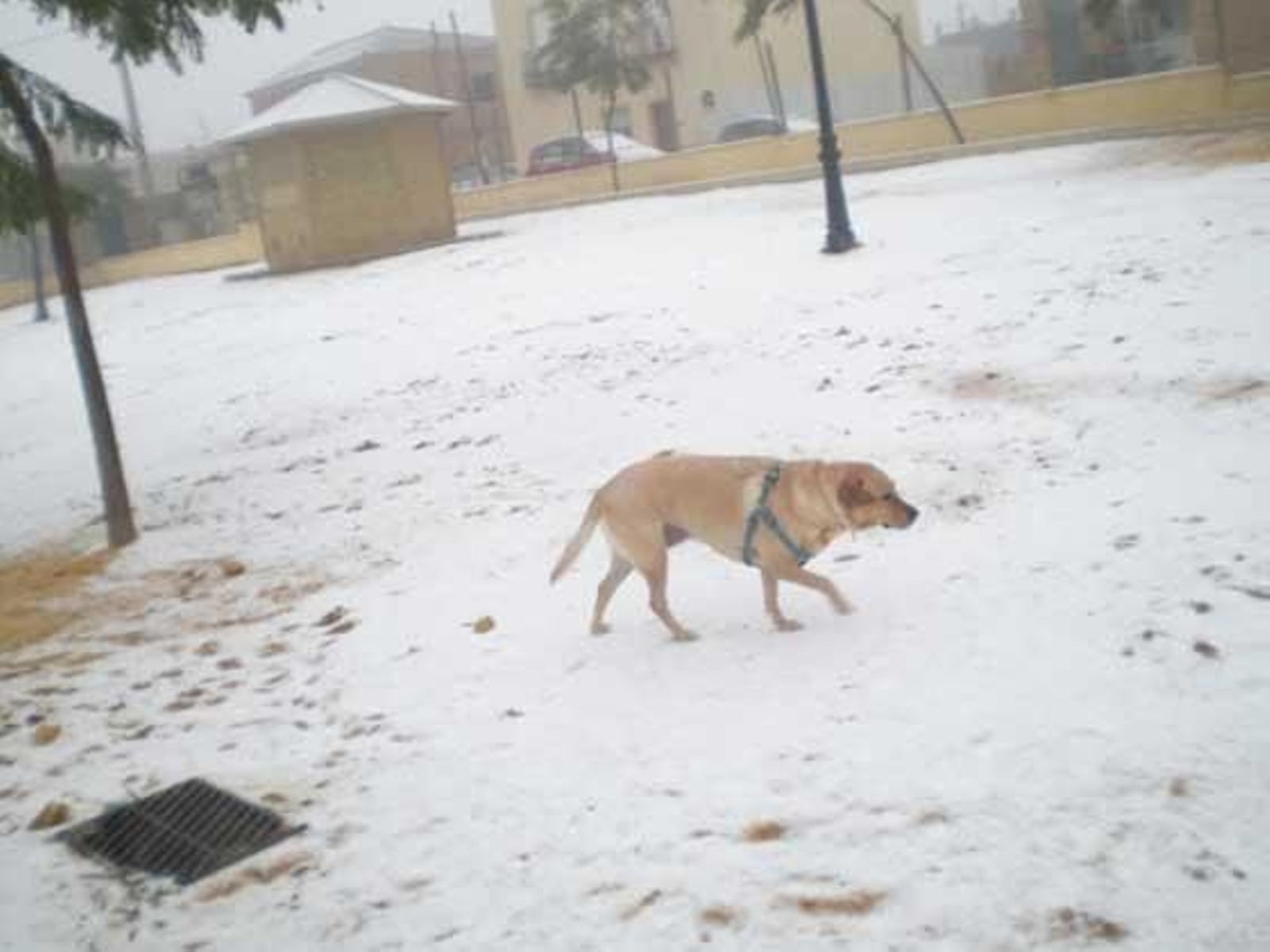 Albaida del Aljarafe.