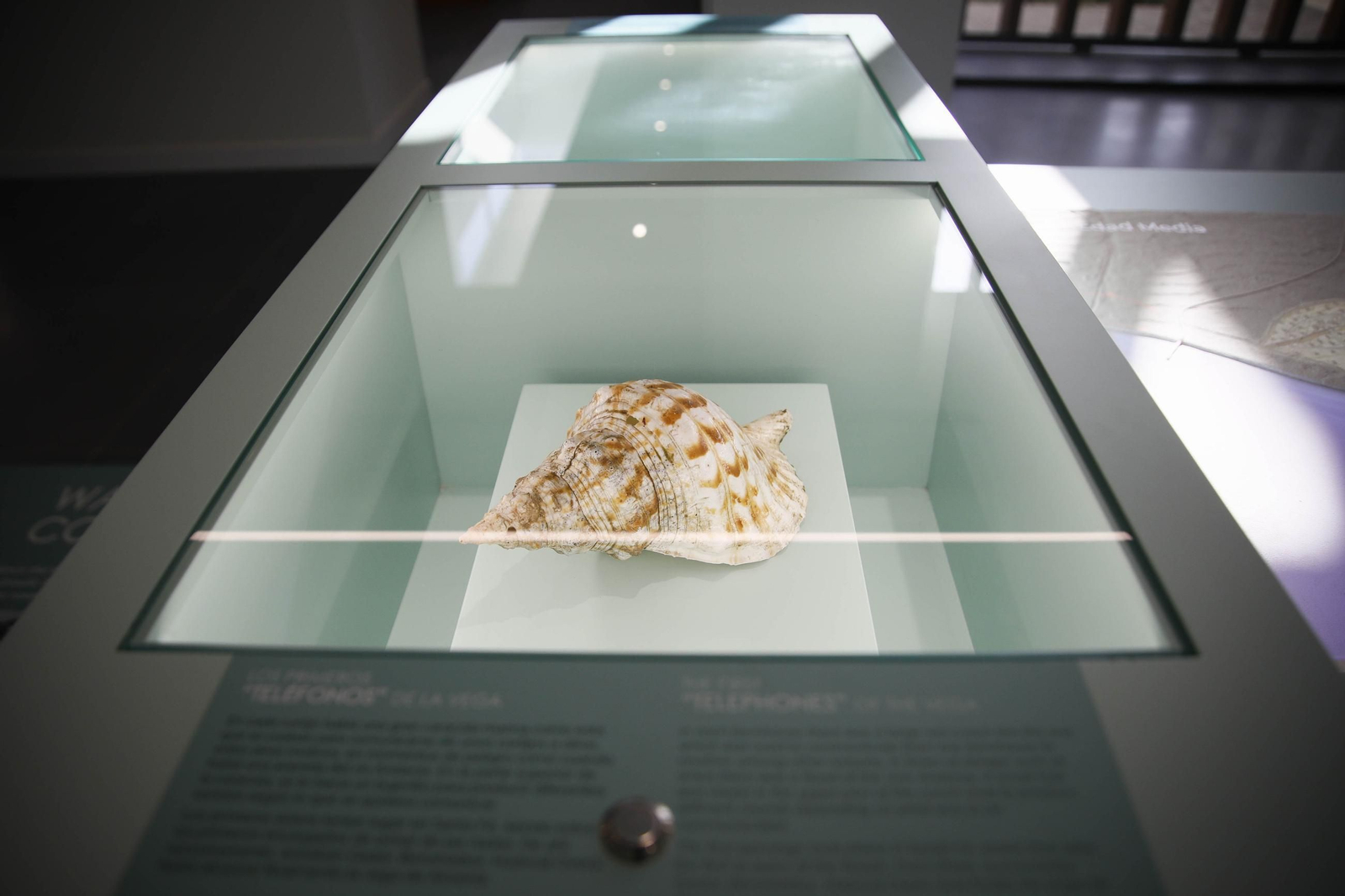 Las mejores imágenes de la inauguración del Ecomuseo en la Vega de Almería