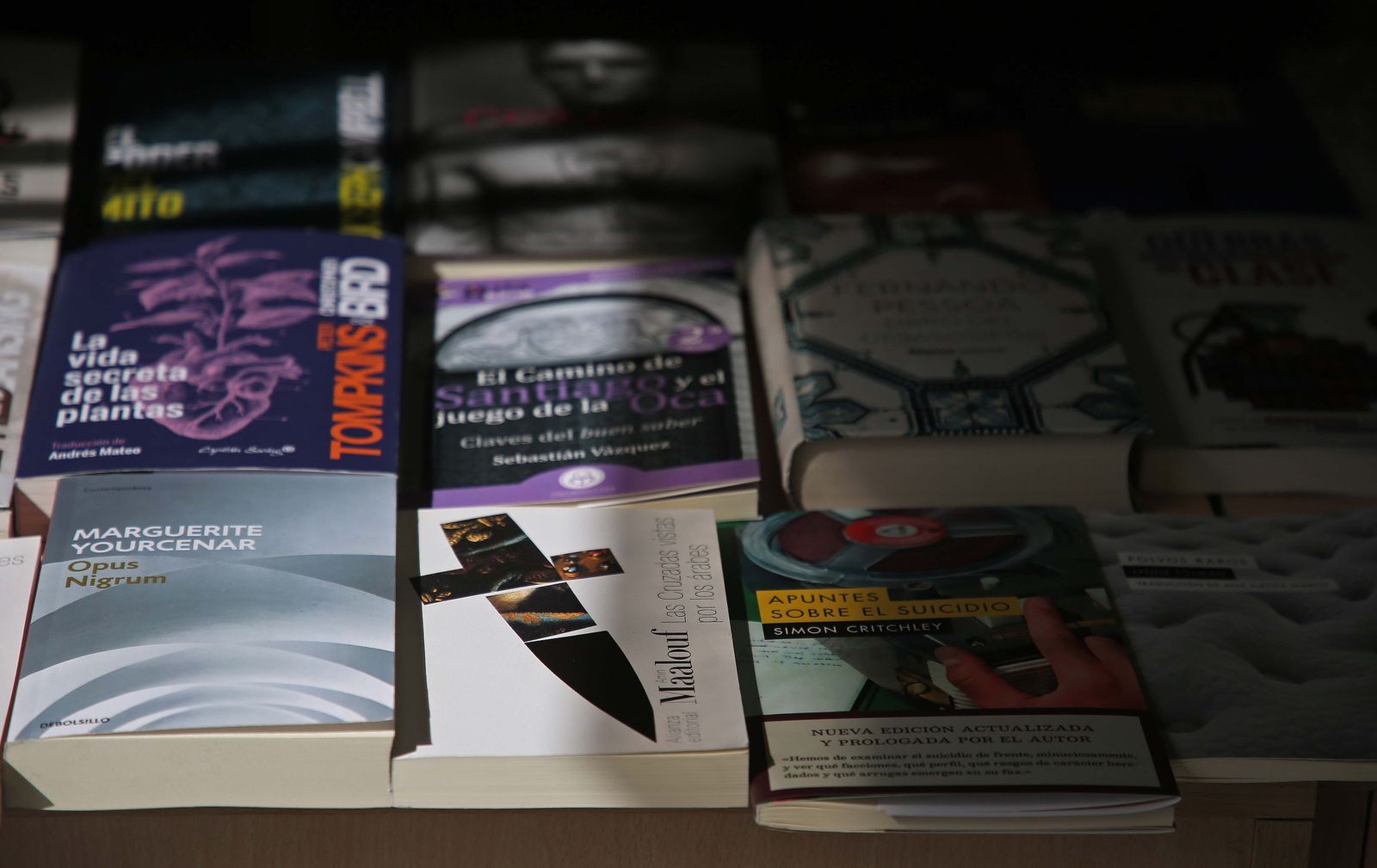 Fotos de la Feria del Libro de La Línea