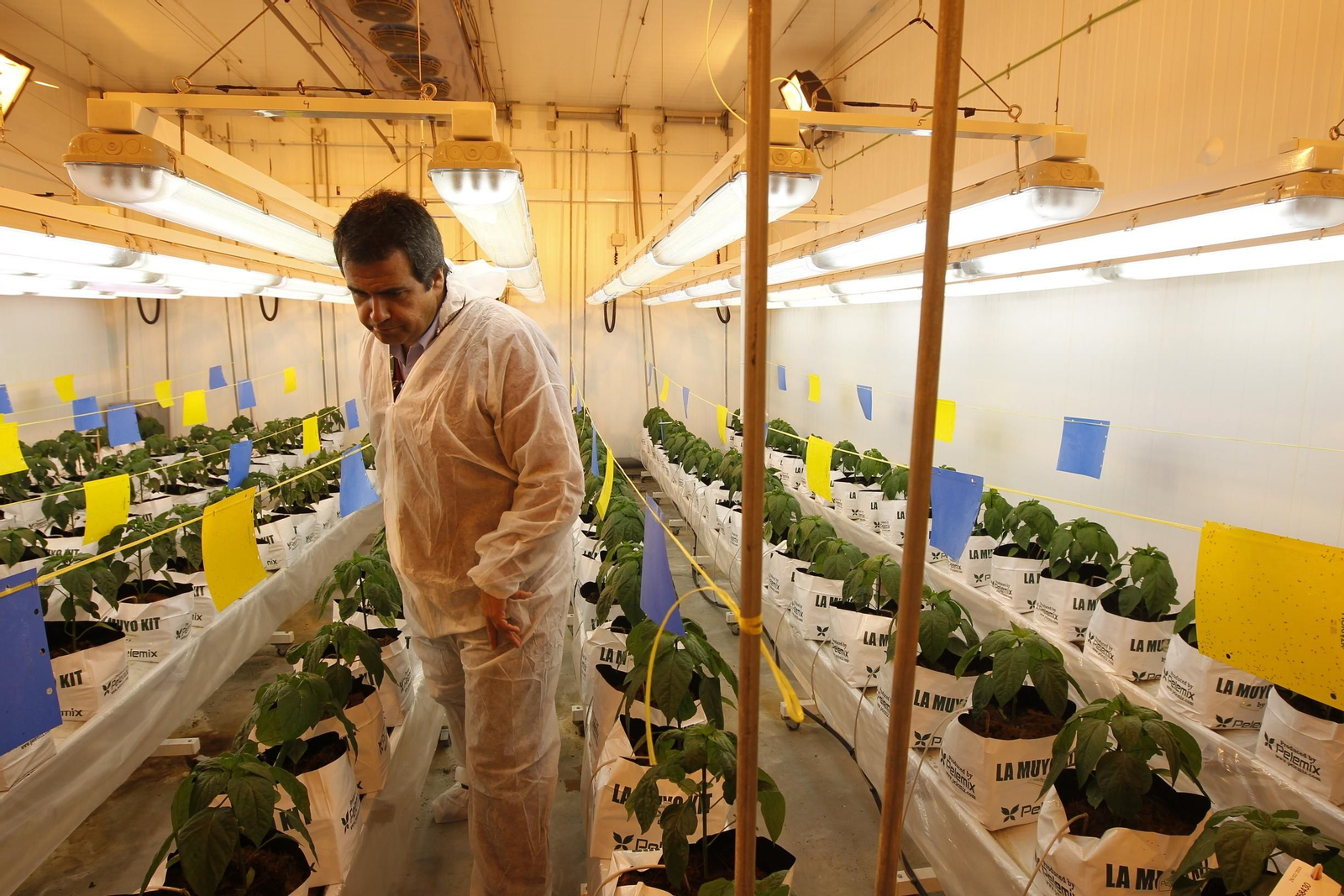 Fotogalería presentación resultados Bayer