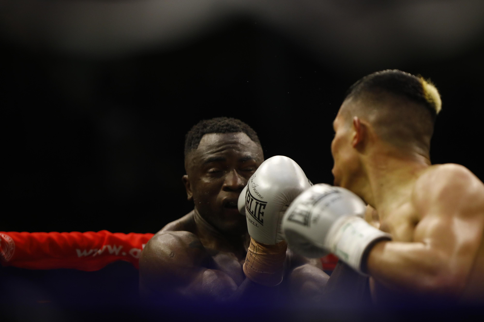 Las imágenes del combate entre José Luis Navarro Jr y Ronny Landaeta en Córdoba