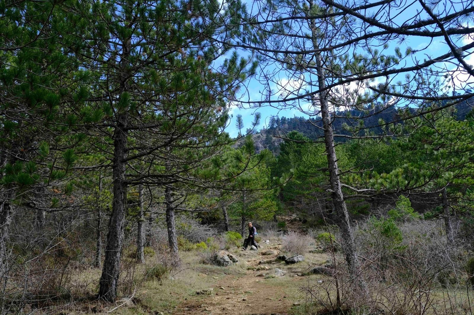 Uno de los paisajes de la Sierra de las Nieves. Uno de los paisajes de la Sierra de las Nieves.