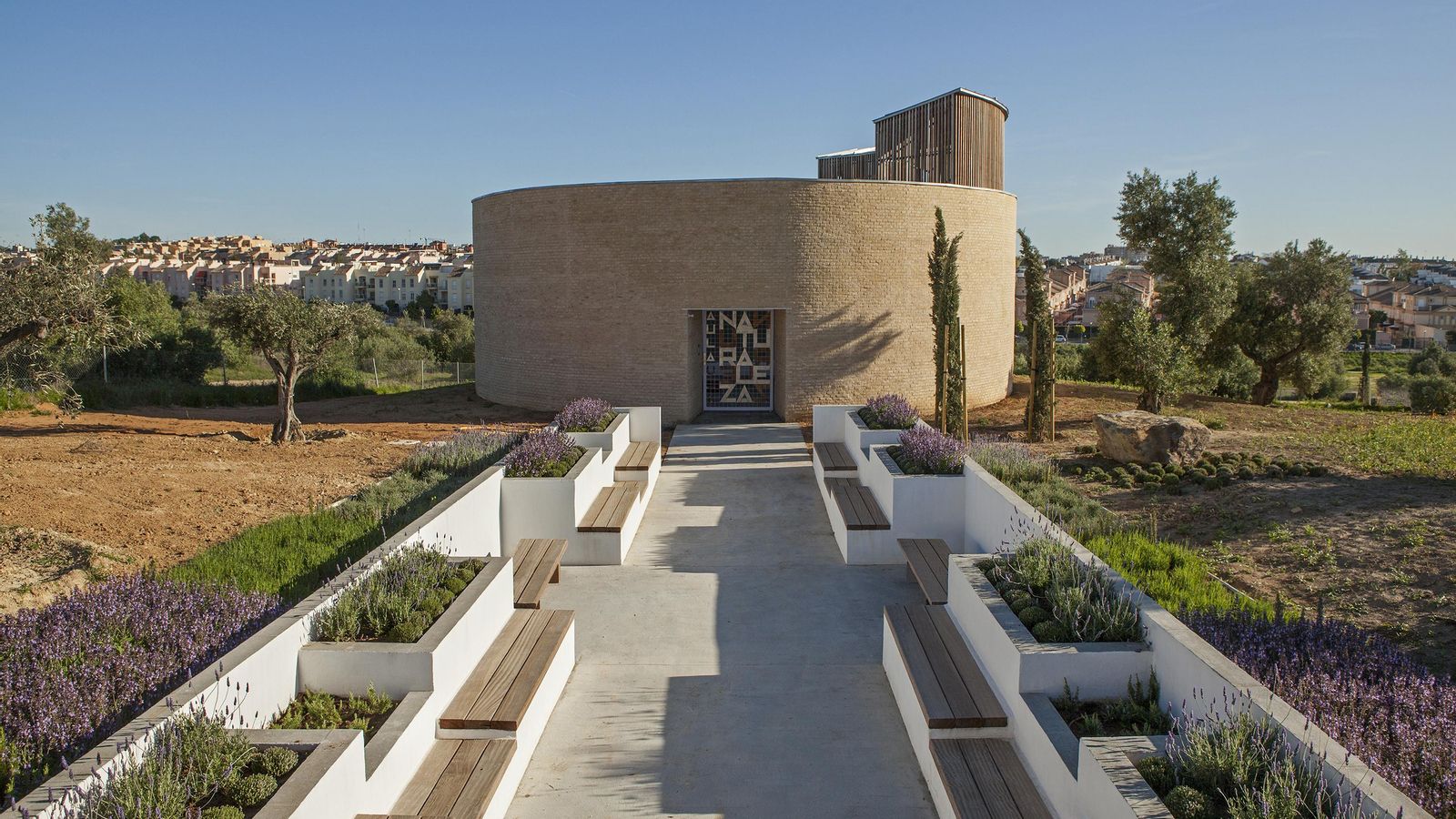 El olivar Zaudin en primavera.