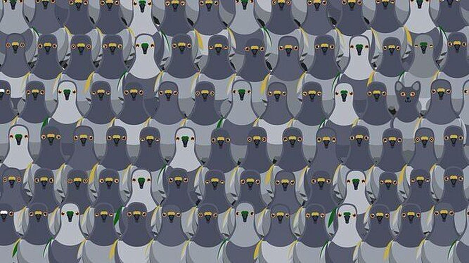 El reto de las palomas