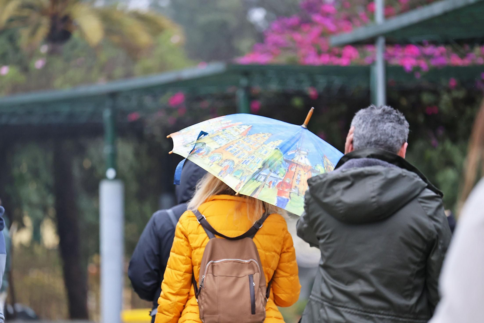 Las imágenes más destcadas del domingo 26 de enero en Huelva