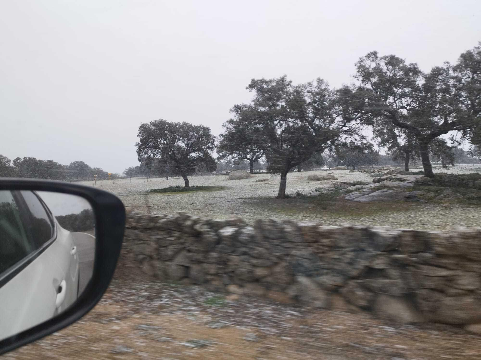 Nieve en la dehesa de Cardeña. Nieve en la dehesa, en Cardeña.
