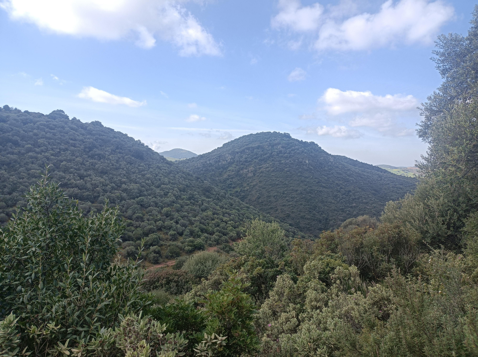 Las montañas del entorno.